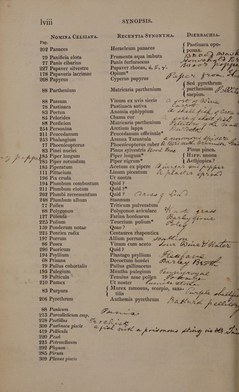 2f AF lvii 202 Panaces 79 Panificia elota 7 Panis cibarius 227 Papaver silvestre 178 Papaveris lacrimae 268 Papyrus 88 Parthenium 88 Passum 78 Pastinaca 83 Pecten 85 Pelorides 88 Perdicion 254 Personina 211 Peucedanum 253 Phalangium 7 Phoenicopterus 83 Pinei nuclei ;, 185 Piper longum 185 Piper rotundum 185 Piperatum 111 Pittacium 196 Pix cruda 194 Plumbum combustum 211 Plumbum elotum 202 Plumbi recrementum 248 Plumbum album 71 Pollen 88 Polygonon 127 Polenta 225 Polium 159 Ponderum notae 225 Pontica radix 197 Porrum 86 Posca 296 Psoricum 194 Psyllium 68 Ptisana 19 Pullus cohortalis 195 Pulegium 19 Pulticula 210 Pumex 83 Purpura 206 Pyrethrum 88 Panicum Z 213 Parcolleticum emp. Cia d 218 Pastillus UE n pae - 309 Pastinaca piscis 419 Pellicula 220 Pessi 225 Petrosclinum 292 Phynon 285 Pirum 309 Planus piscis i SYNOPSIS. RECENTIA SYNONYMA. DiERBACHIA. Pastinaca opo- Heracleum panaces ponax. » Frumenta aqua imbuta à 3. e. 72 le | Panis furfuraceus Ir, n- p u /21) s» Papaver rhoeas, 4, f, y. A Opium* ; Cypiehiis papyrus Z vef c v f yit *. Sed pyrethrum  Matricaria parthenium rien LZ P ZA saepius. Vinum ex uvis siccis — 4^ e Do Pastinaca sativa pi» e Anomia ephippium p 2 d» rA Cof. a Chama cor A ao x Matricaria parthenium Arctium lappa Peucedanum officinale* Aranea Tarantula LA Met Phoenicopterus ruber £ /4227 m Pinus sylvestris Z22cZ Pinus pinea. Piper longum* f HiPr. unona Piper nigrum* | Aethiopica ? Acetum ex pipere /Z x«4- Ga A fr Linum piceatum — 7 faa e ca efÁ * oC) fne Ut nostra Quid ? Quid ?* PH - Quid? | 2^.» z «ex d Stannum f Triticum pulveratum' 1 Polygonon aviculare or d Farina hordeacea UB €; Wr rem Teucrium polium* Ze, M Quae ? Centaurea rhapontica Alium porrum — sz TU un P Xu. J E anm cum aceto — vozor (Ao. BA uid ? : rd * P 3 fo e 4,92. À Plantago psyliium — Pas 4 /3 zu Decoctum hordei Pullus gallinaceus e Mentha pulegium ee Py Zeus 1 * Murex ramosus, scorpio, saxa- ) í tilis d gl . ^ / Tenuius zeae pollen Anthemis pyrethrum IA 4 A Mo e /f E. Ut noster STEM n.