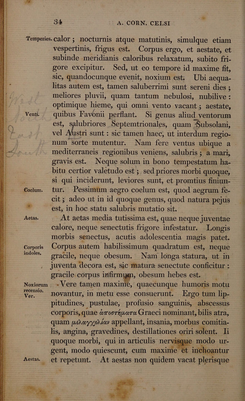 Temperie.calor ; nocturnis atque matutinis, simulque etiam vespertinis, frigus est. Corpus ergo, et aestate, et subinde meridianis caloribus relaxatum, subito fri- gore excipitur. Sed, ut eo tempore id maxime fit, sic, quandocunque evenit, noxium est; Ubi aequa- litas autem est, tamen saluberrimi sunt sereni dies ; : meliores pluvii, quam tantum nebulosi, nubilive : optimique hieme, qui omni vento vacant; aestate, Veni. quibus Favonii perflant. Si genus aliud ventorum est, salubriores Septemtrionales, quam -Subsolani, vel 2. stri sunt : sic tamen haec, ut interdum regio- mediterraneis regionibus veniens, salubris ; a mari, gravis est. Neque solum in bono tempestatum ha- bitu certior valetudo est ; sed priores morbi quoque, si qui inciderunt, leviores sunt, et promtius finiun- €odum. tur. Pessimüm aegro coelum est, quod aegrum fe- cit; adeo ut in id quoque genus, quod natura pejus d est, in hoc statu salubris mutatio sit. : Aea. — . At aetas media tutissima est, quae neque juventae calore, neque senectutis frigore infestatur. Longis morbis senectus, acutis hee magis patet. Corporis Corpus autem habilissimum quadratum est, neque mds. eracile, neque obesum. Nam longa statura, ut in juventa decora est, sic matura senectute conficitur : gracile: corpus infirmi, obesum hebes est. —. Noxiorum . - Vere tamen maxime, quaecunque humoris motu Ve^ pmovantur, in metu esse consuerunt. Ergo tum lip- pitudines, , pustulae, profusio sanguinis, abscessus corporis, quae &amp;mooríuoro Graeci nominant, bilis atra, quam pue y o itap appellant, insania, morbus comitia- lis, angina, gravedines, destillationes oriri solent. lI quoque morbi, qui in articulis ner e modo ur- gent, modo quiescunt, cum maxime * inchoantur Aes». — et repetunt. At aestas non quidem vacat plerisque TENENTEM SERERE TERN S SERERE