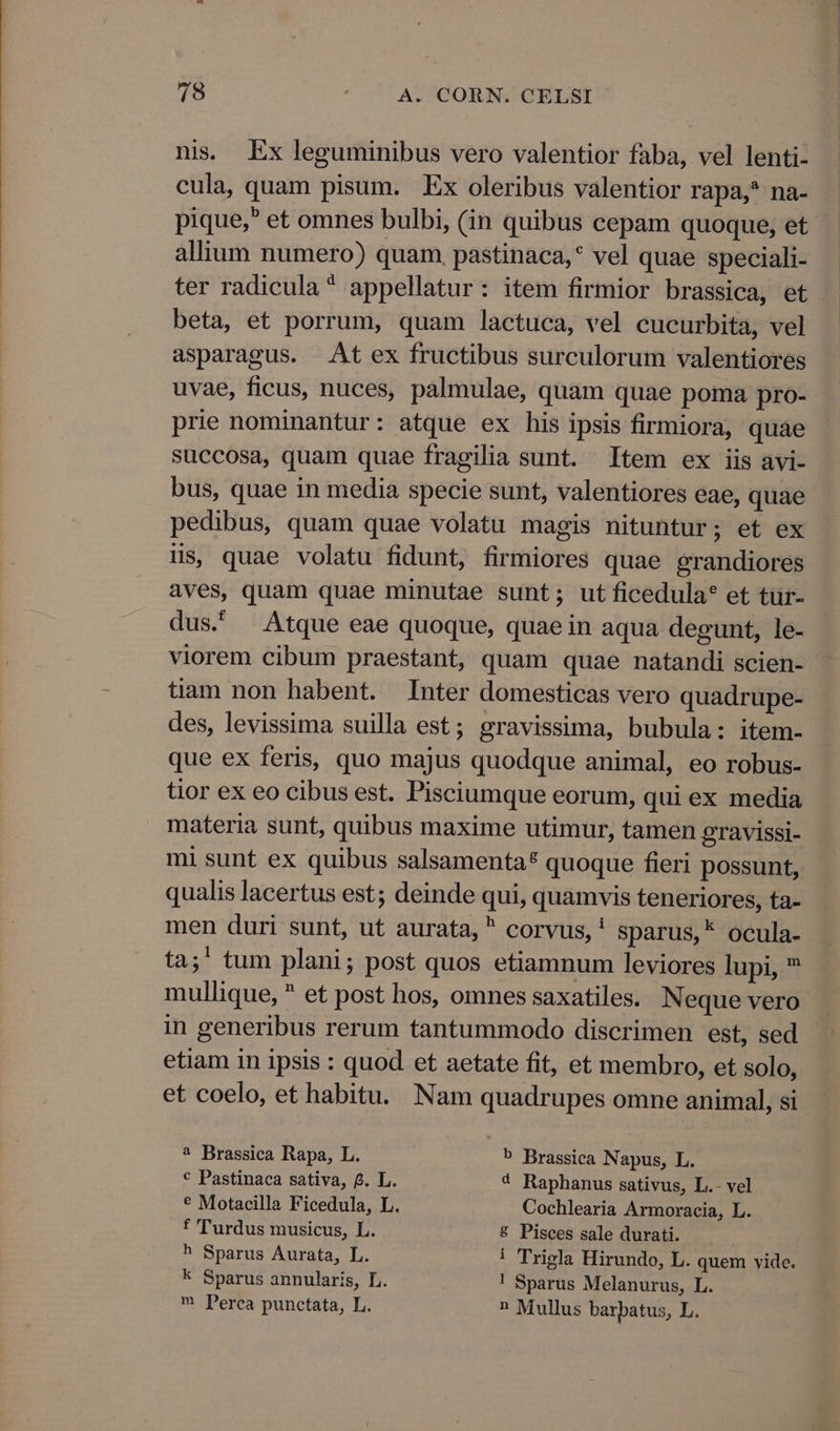 nis. Ex leguminibus vero valentior faba, vel lenti- cula, quam pisum. Ex oleribus valentior rapa, na- allium numero) quam, pastinaca,* vel quae speciali- beta, et porrum, quam lactuca, vel cucurbita, vel asparagus. At ex fructibus surculorum valentiores uvae, ficus, nuces, palmulae, quam quae poma pro- prie nominantur: atque ex his ipsis firmiora, quae succosa, quam quae fragilia sunt. Item ex iis avi- bus, quae in media specie sunt, valentiores eae, quae pedibus, quam quae volatu magis nituntur; et ex iis, quae volatu fidunt, firmiores quae grandiores aves, quam quae minutae sunt; ut ficedula* et tür- dus, — Atque eae quoque, quae in aqua degunt, le- viorem cibum praestant, quam quae natandi scien- tiam non habent. Inter domesticas vero quadrupe- des, levissima suilla est ; gravissima, bubula: item- que ex feris, quo majus quodque animal, eo robus- tior ex eo cibus est. Pisciumque eorum, qui ex media materia sunt, quibus maxime utimur, tamen gravissi- mi sunt ex quibus salsamenta? quoque fieri possunt, qualis lacertus est; deinde qui, quamvis teneriores, ta- men duri sunt, ut aurata,  corvus, ! sparus,* ocula- ta;' tum plani; post quos etiamnum leviores lupi, ^ mullique,  et post hos, omnes saxatiles. Neque vero in generibus rerum tantummodo discrimen est, sed etiam in ipsis : quod et aetate fit, et membro, et solo, 2 Brassica Rapa, L. P Brassica Napus, L. € Pastinaca sativa, f. L. * Raphanus sativus, L.- vel ? Motacilla Ficedula, L. Cochlearia Armoracia, L. f ''urdus musicus, L. 8 Pisces sale durati. h Sparus Aurata, L. ! Trigla Hirundo, L. quem vide. k Sparus annularis, L. ! Sparus Melanurus, L. 0 Perca punctata, L. ^» Mullus barbatus, L.