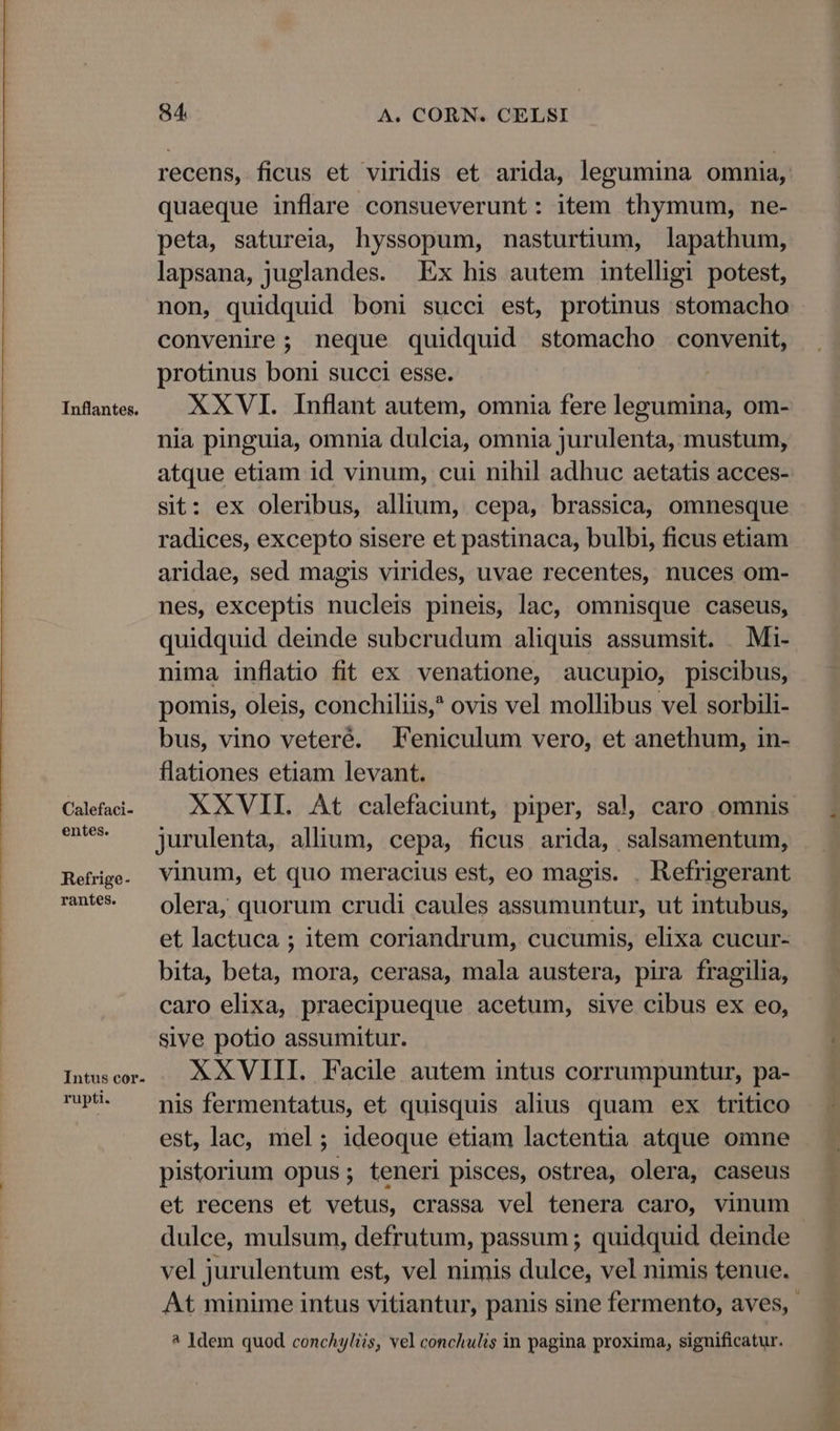 Inflantes. Calefaci- entes. Refrige- rantes. Intus cor- rupti. 84. A. CORN. CELSI recens, ficus et viridis et arida, legumina omnia, quaeque inflare consueverunt: item thymum, ne- peta, satureia, hyssopum, nasturtium, lapathum, lapsana, juglandes. Ex his autem intelligi potest, non, quidquid boni succi est, protinus stomacho convenire; neque quidquid stomacho convenit, protinus boni succi esse. XXVI. Inflant autem, omnia fere legumina, om- nia pinguia, omnia dulcia, omnia jurulenta, mustum, atque etiam id vinum, cui nihil adhuc aetatis acces- sit: ex oleribus, allium, cepa, brassica, omnesque radices, excepto sisere et pastinaca, bulbi, ficus etiam aridae, sed magis virides, uvae recentes, nuces om- nes, exceptis nucleis pineis, lac, omnisque caseus, quidquid deinde subcrudum aliquis assumsit. Mi- nima inflatio fit ex venatione, aucupio, piscibus, pomis, oleis, conchiliis,? ovis vel mollibus vel sorbili- bus, vino veteré. Feniculum vero, et anethum, in- flationes etiam levant. XXVII. At calefaciunt, piper, sa!, caro omnis jurulenta, allium, cepa, ficus arida, salsamentum, vinum, et quo meracius est, eo magis. . Refrigerant olera, quorum crudi caules assumuntur, ut intubus, et lactuca ; item coriandrum, cucumis, elixa cucur- bita, beta, mora, cerasa, mala austera, pira fragilia, caro elixa, praecipueque acetum, sive cibus ex eo, sive potio assumitur. XXVIII. Facile autem intus corrumpuntur, pa- nis fermentatus, et quisquis alius quam ex tritico est, lac, mel ; ideoque etiam lactentia atque omne pistorium opus ; teneri pisces, ostrea, olera, caseus et recens et vetus, crassa vel tenera caro, vinum dulce, mulsum, defrutum, passum ; quidquid deinde vel jurulentum est, vel nimis dulce, vel nimis tenue. At minime intus vitiantur, panis sine fermento, aves, - ? ]dem quod conchyliis, vel conchulis in pagina proxima, significatur.