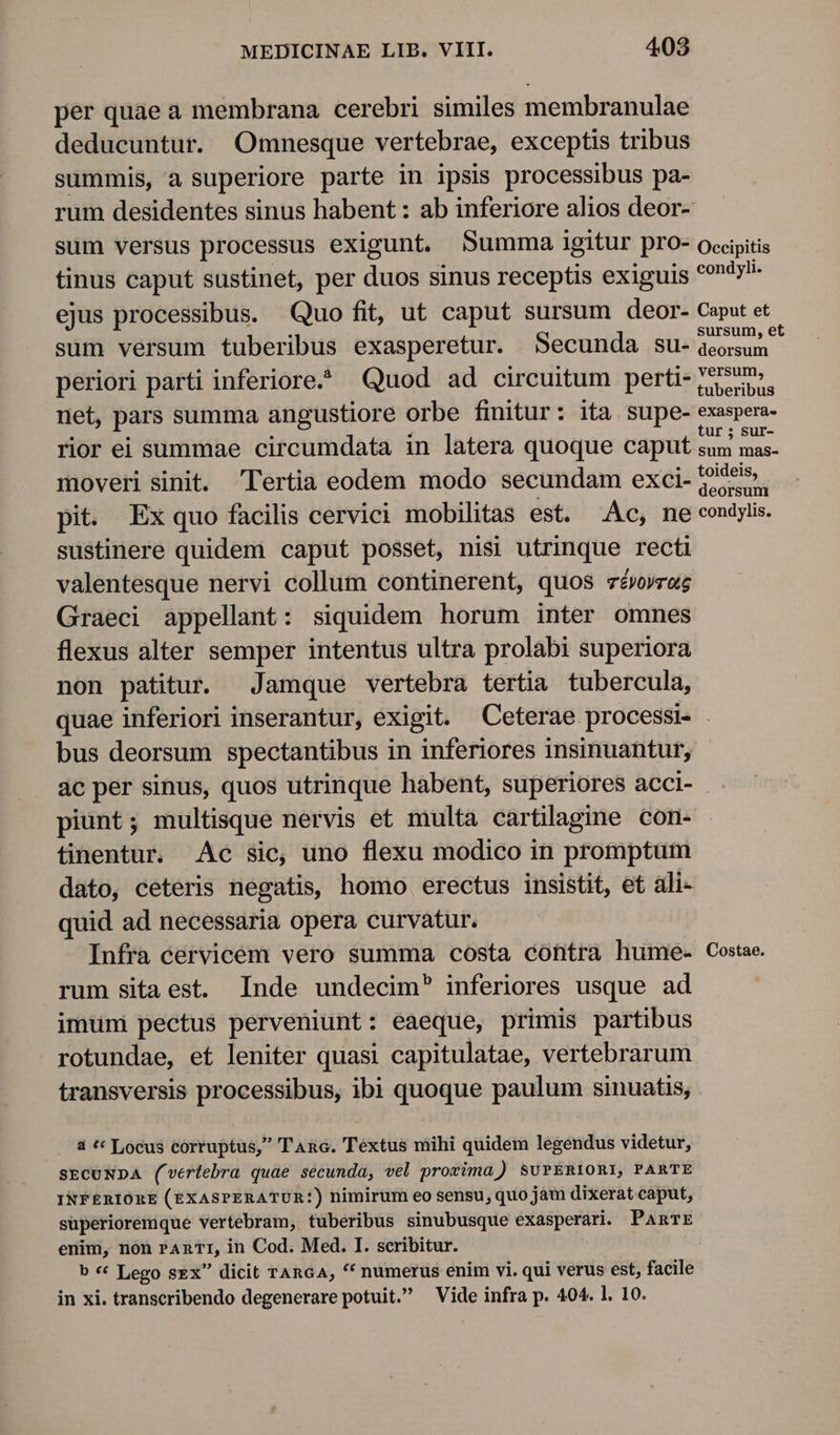 per quae a membrana cerebri similes membranulae deducuntur. Omnesque vertebrae, exceptis tribus summis, a superiore parte in ipsis processibus pa- rum desidentes sinus habent : ab inferiore alios deor- sum versus processus exigunt. Summa igitur pro- occipitis tinus caput sustinet, per duos sinus receptis exiguis ^92» ejus processibus. Quo fit, ut caput sursum deor- Caput et sum versum tuberibus exasperetur. Secunda su- PMasUEU periori parti inferiore | Quod ad circuitum perti- ^ ; . tuberibus net, pars summa angustiore orbe finitur: ita supe- exaspera- . . . E tur ; sur- rior ei summae circumdata in latera quoque caput sum mas- moveri sinit. 'lertia eodem modo secundam exci- cun pit. Ex quo facilis cervici mobilitas est. Ac, ne condylis. sustinere quidem caput posset, nisi utrinque recti valentesque nervi collum continerent, quos vévoyrag Graeci appellant: siquidem horum inter omnes flexus alter semper intentus ultra prolabi superiora non patitur. Jamque vertebra tertia tubercula, quae inferiori inserantur, exigit. Ceterae processi. . bus deorsum spectantibus in inferiores insinuantur, ác per sinus, quos utrinque habent, superiores acci- piunt; multisque nervis et multa cartilagine con- tinentur. Ac sic, uno flexu modico in promptum dato, ceteris negatis, homo erectus insistit, et ali- quid ad necessaria opera curvatur. Infra cervicém vero summa costa contrà hume- Costae. rum sitaest. Inde undecim? inferiores usque ad imum pectus perveniunt: eaeque, primis partibus rotundae, ef leniter quasi capitulatae, vertebrarum transversis processibus, ibi quoque paulum sinuatis, à «« Locus corruptus, TAG. Textus mihi quidem legendus videtur, SECUNDA (vertebra quae secunda, vel provima) SUPERIORI, PARTE INFERIORE (EXASPERATUR:) nimirum eo sensu, quo jàm dixerat caput, superioremque vertebram, tuberibus sinubusque exasperari. PanmE enim, non rAnTI, in Cod. Med. I. scribitur. b ** Lego sex dicit TAnGA, ** numerus enim vi. qui verus est, facile in xi. transcribendo degenerare potuit. Vide infra p. 404. 1. 10.