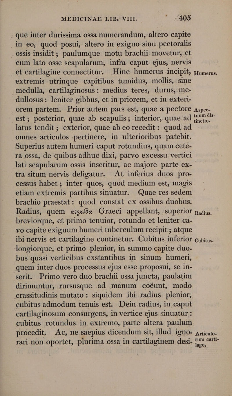 . que inter durissima ossa numerandum, altero capite .in eo, quod posui, altero in exiguo sinu pectoralis ossis insidit ; paulumque. motu brachii. movetur, et cum lato osse scapularum, infra caput ejus, nervis extremis utrinque capitibus tumidus, mollis, sine medulla, cartilaginosus: medius teres, durus, me- dullosus: leniter gibbus, et in priorem, et in exteri- est; posterior, quae ab scapulis; interior, quae ad latus tendit; exterior, quae ab eo recedit : quod ad omnes articulos pertinere, in ulterioribus patebit. Superius autem humeri caput rotundius, quam cete- ra ossa, de quibus adhuc dixi, parvo excessu vertici tra situm nervis deligatur. At inferius duos pro- cessus habet; inter quos, quod medium est, magis etiam extremis partibus sinuatur. Quae res sedem brachio praestat: quod constat ex ossibus duobus. breviorque, et primo tenuior, rotundo et leniter ca- vo capite exiguum humeri tuberculum recipit ; atque ibi nervis et cartilagine continetur. Cubitus inferior longiorque, et primo plenior, in summo capite duo- bus quasi verticibus exstantibus in sinum humeri, quem inter duos processus ejus esse proposui, se in- serit. Primo vero duo brachii ossa juncta, paulatim dirimuntur, rursusque ad manum coéunt, modo crassitudinis mutato: siquidem ibi radius plenior, cubitus admodum tenuis est. Dein radius, in caput cartilaginosum consurgens, in vertice ejus sinuatur : cubitus rotundus in extremo, parte altera paulum procedit. Ac, ne saepius dicendum sit, illud igno- rari non oportet, plurima ossa in cartilaginem desi- Cubitus. Articulo- rum carti-
