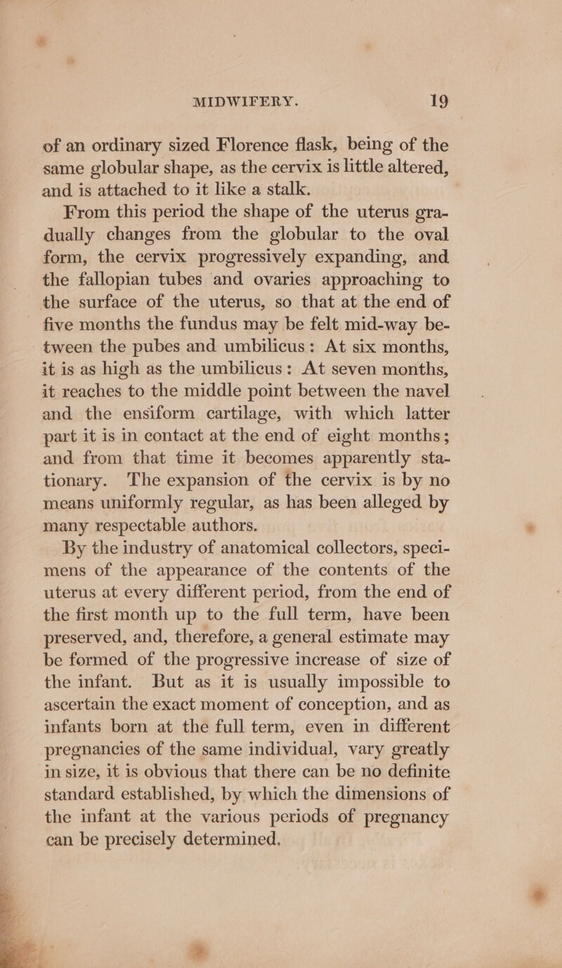 of an ordinary sized Florence flask, being of the same globular shape, as the cervix is little altered, and is attached to it like a stalk. From this period the shape of the uterus gra- dually changes from the globular to the oval form, the cervix progressively expanding, and the fallopian tubes and ovaries approaching to the surface of the uterus, so that at the end of five months the fundus may be felt mid-way be- tween the pubes and umbilicus: At six months, it is as high as the umbilicus: At seven months, it reaches to the middle point between the navel and the ensiform cartilage, with which latter part it is in contact at the end of eight months ; and from that time it becomes apparently sta- tionary. The expansion of the cervix is by no means uniformly regular, as has been alleged by many respectable authors. By the industry of anatomical collectors, speci- mens of the appearance of the contents of the uterus at every different period, from the end of the first month up to the full term, have been preserved, and, therefore, a general estimate may be formed of the progressive increase of size of the infant. But as it is usually impossible to ascertain the exact moment of conception, and as infants born at the full term, even in different pregnancies of the same individual, vary greatly in size, it is obvious that there can be no definite standard established, by which the dimensions of the infant at the various periods of pregnancy can be precisely determined.