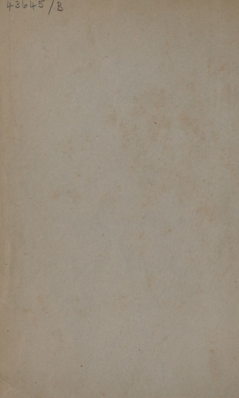 SO Pate lw ) roar %. 0 Ria aae Ma