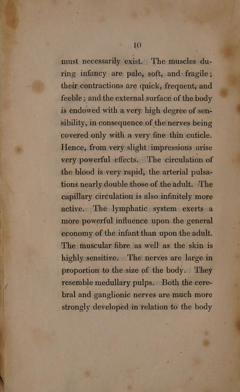 must necessarily exist. The muscles du- ring infancy are pale, soft, and: fragile ; their contractions are quick, frequent, and feeble ; and the external surface of the body is endowed with a very: high degree of sen- covered only with avery fine thin cuticle. very powerful effects. The -circulation of the blood is very rapid, the arterial pulsa- | tions nearly double those of the adult. ‘The capillary circulation is also infinitely more active. The lymphatic system exerts. a more powerful influence upon the general economy of the infant than upon the adult. The muscular fibre. as well as the skin is highly sensitive. ‘The nerves are large:in proportion to the size of the body. They bral and ganglionic nerves are much more strongly developed in relation to the body