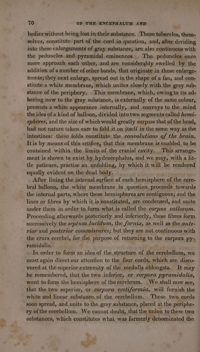 bodies without being lost intheir substance. , These tubercles, them- selves, constitute part of the cord,in question, and, after dividing into these enlargements of gray substance, are also continuous with the peduncles. and pyramidal, eminences. . The peduncles once more approach each ‘other, and are considerably swelled by the addition of anumber of other bands, that originate in those enlarge- ments; they next enlarge, spread out in the shape of a fan, and con- stitute a white membrane, which unites closely with the gray sub- stance of the periphery... This membrane, which, owing to its ad- hering now to the gray substance, is externally of the same colour, presents a white appearance internally,, and. conveys to the mind the idea of a kind of balloon, divided into two segments called hemi- spheres, and the size of which would greatly surpass that of the head, had not nature taken care to fold it on itself in the same way as the intestines: these folds constitute: the convolutions of the brain. Itis by means of this.artifice, that this membrane is enabled to be contained within. the limits of the cranial cavity. . This arrange- ment is shown to exist by hydrocephalus, and we may, with a lit- tle patience, practise an, unfolding, by which it will be rendered equally evident on the dead body. After lining the internal surface of each hemisphere. of the cere- bral balloon, the white membrane in question proceeds towards _ the internal parts, where these hemispheres are contiguous; and the lines or fibres by which it is constituted, are condensed, and unite under them in order to form what is called the corpus callosum. Proceeding afterwards posteriorly and inferiorly, these fibres form successively the septum lucidum, the fornix, as well as the ante- rior and posterior commissures; but they are not continuous with the crura cerebri, (ORES purpose of returning to the corpora py- ramidalia. ‘In order to form an sates of the, structure of the cerebellum, we must again direct our attention to the four, cords, which are, disco- vered at the superior extremity of the medulla oblongata. It may | be remembered, that the two inferior, or corpora pyramidalia, went to form the hemisphere of the cerebrum. We shall now see, that the two superior, or corpora. restiformia, will furnish the white and linear substance.of the cerebellum. These two cords soon spread, and unite to the gray substance, placed at the periphe- ry of the cerebellum. We cannot doubt, that the union to these two substances, which constitutes what was formerly denominated the