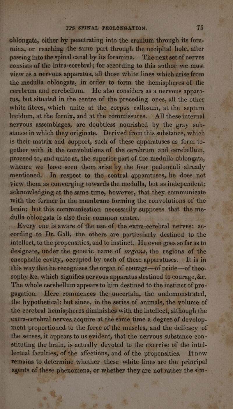 oblongata, either by penetrating into the cranium through its fora- mina, or reaching the same part through the occipital hole, after passing into the spinal canal by itsforamina. Thenext setof nerves consists of the intra-cerebral; for according to this author we must view as a nervous apparatus, all those white lines which arise from the medulla oblongata, in order to form the hemispheres of the cerebrum and cerebellum. He also considers as a nervous appara- tus, but situated in the centre of the preceding ones, all the other white fibres, which unite at the corpus callosum, at the septum lucidum, at the fornix, and at the commissures. All these internal nervous assemblages, are doubtless nourished by the gray sub- stance in which they originate. Derived from this substance, which is their matrix and support, such of these apparatuses as form to- gether with it the convolutions of the cerebrum and cerebellum, proceed to, and unite at, the superior part of the medulla oblongata, whence we have seen them arise by the four pedunculi already mentioned. In respect to the central apparatuses, he does not view them as converging towards the medulla, but as independent; acknowledging at the same time, however, that they, communicate with the former in the membrane forming the convolutions of the brain; but this communication necessarily supposes that the me- dulla oblongata i is also their common centre. . Every one is aware of the use of the extra-cerebral nerves: ac- cording to Dr. Gall, the others are particularly destined to the intellect, to the propensities, and to instinct. He even goes so far as to designate, under the generic name of organs, the regions of the encephalic cavity, occupied by each of these apparatuses. It is in this way that he recognises the organ of courage—of pride—of theo- sophy &amp;c. which signifies nervous apparatus destined to courage, &amp;c. The whole cerebellum appears to him destined to the instinct of pro- pagation. Here commences the uncertain, the undemonstrated, the hypothetical: but since, in the series of animals, the volume of the cerebral hemispheres diminishes with the intellect, although the -extra-cerebral nerves acquire at the same time a degree of develop- ment proportioned: to the force of the muscles, and the delicacy of the senses, it appears to us evident, that the nervous substance con- stituting the brain, is actually devoted to the exercise of the intel- lectual faculties, of the affections, and of the propensities. It now æemains to determine whether these white lines are the principal agents of these phenomena, or whether they are not rather the sim-
