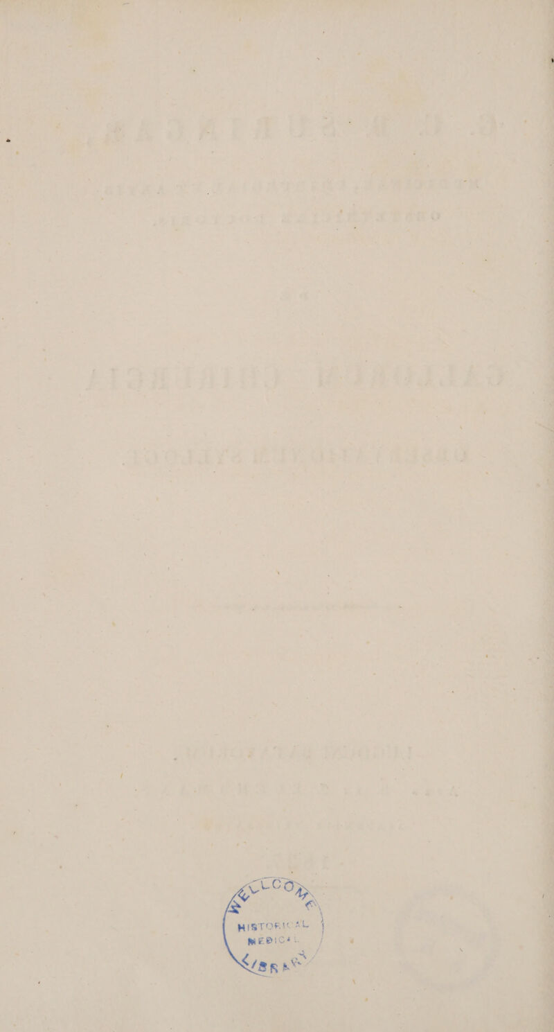 now 3 Po rs » 45 LL n TIE * T BJ * & » -— $ dtm X bes- » ' x z » * eh c A * |