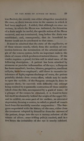 Mandrake roots in human form; the mandrake plant; ginseng. Engraving.