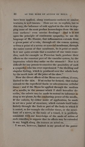 Mandrake roots in human form; the mandrake plant; ginseng. Engraving.