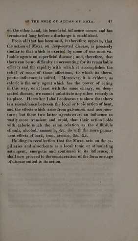 Mandrake roots in human form; the mandrake plant; ginseng. Engraving.