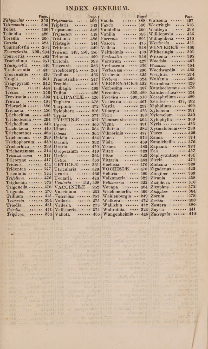 pe Page. Page Tithymalus »+++-- 356|Tripinnaria .----- 302 Tittmannia ++++++ 306|Triplaris ------ 343 Todea esoess 460|Tripsacum .----+ 448 Tofieldia -«++++- 428 Tripsacum «.-+++: 448 Torenia -*e+e++ 306|Tristania -+-+++ 486 Tortula sooses 324) Tristegis oes 444 Tournefortia «+++ 294|Triticum --++++ 449 Tournefortia 290, 294) Triticum 449, 450, 456 Tourrettia «+-e++:* 285/Tritoma -+++«- 409 Trachelium ++«+ 251/Tritonia ++++++ 398 Trachynotia +«++¢+ 440|Trizeuxis «-++++ 386 Tradescantia ++ 430|Trochocarpa -+++ 267 Tradescantia --++ 430) 'Trollius »evces 465 Tragia «-eee+ 361 | Tromotriche +«++ 277 Tragopyrum ++++ 342|Trophis «---++ A491 Tragus e+e» 444/ Tulbagia »-+++- 409 Treisia seeees 356] Tulipa wa stews 426 Trevirania «+*+++ 303| TULIPACEE «« 426 Trewia s***++ 491|Tupistra ---+++ 378 Tribrachia ++++++ 386|Turpinia -+++-+ 472 Tricheta +++ 456 Tylophora «+++» 278 Trichochloa, «+++ 443) Typha reese B77 ‘Frichodesma &lt;«++ 294|TYPHINE --:+ 377 Trichodium «+++ 442| Ugena svrsiens 460 Tricholena «eee 446) Ulmus eee Trichomanes «+++ 464] Ulmus os wees BO Trichonema +++: 399|Uniola eccess++ 454 Trichophorum ++ 439] Urania errr. Trichorhiza --+-- 388] Uraria o owe Trichostemma «+ 314} Uropetalum +--+» 419 Trichostemma «+ 317|Urtica e+ +#=&gt; 363 Tricoryne «+++++ 417 | Urtica x os eee Tridens «+--+. 451/URTICEZ ---+- 361 Tridentea ---+-+ 277j Utricularia +++» 329 Trientalis .++++&gt;+ 331) Uvaria dpjelea' ss AGG Trifolium +e++++ 476|Uvularia ------ A38 Triglochin ---+++ 375| Uvularia ++ 415, 428 Trigonella --++++ 476|VACCINIE 252 Trigonia -++«++++ 470) Vaccinium -+++ 252 Trillium = ++e+e+ 415} Vaccinium +o++++ 253 Trimezia ++e+++ 394] Vallaris ojeress wls, 275 Triodia evcces 451} Vallesia -e2-0+ 273 Triodia veeees 451/ Vallisneria --+* 374 Triphora coceee 384 Vallota seeses 406 Pagee Vanda ecooee 388 Vanda eoes 888 Vandellia ------ 306 Vanilla ie wise SRS Varronia «+++++ 295 Vascoa seers AT5 Velleia wesees 248 Veltheimia +--+: 409 Ventenatia »+++++ 248 Veratrum -+-++++ 429 Verbascum +++ 296 Verbascum ++++++ 296 Verbena ++++++ 325 Verbena ++++-&gt; 394 VERBENACE 322 Verbesina «+---- A87 Veronica 308, 489 Veronica ---+ 308, 310 Vesicaria +--+ 467 Vestia + cate) 207 Viborgia ++-+++ 476 Vicia cveees 480 Vieusseuxia «+++ 394 Vigna ee we A81 Villatsia .--«+- 282 Vilmorinia -+++++ 477 Vinca 366 ¥es QA Viola eeeerr 469 Visnea oaibie@id A485 Vitex wevoce 323 Vitex eovess 393 Vittaria ---+~+ 463 Vochisia +--+++ 470 VOCHISIA --+ 470 Vohiria- ++-«++ 489 Volkameria -++-+ 322 ‘Volkameria +++~ 322 Vouapa ss -~&lt;e- + 484 Wachendorfia ++ 400 Wahlenbergia ++ 249 Walkera eeeece 472 Waallichia »..--- 432 Wallrothia «+» 323 Wangenheimia -» 446 Page. Watsonia «++++- 397 Westringia «+++ 316 Whitleya seen 298 Willdenovia »+-+ 435 Willughbeia «+++ 276 Windsoria eeee A451 WINTERES -+ 466 Witheringia «+++ 301 Witsenia «+++ 395 Woodsia’ +++++- 461 Woodsia ++eeer+ 464 Woodwardia +» 463 Wrightia -+++++ 274 Wulfenia «-+++- 308 Wurmbea ++++-+ 428 Xanthochymus «+ 470 Xanthorrhea-++- 424 Xerophyllum +++» 429 Xerotes ++++ 433, 492 Xiphidium -++--- 400 Xylobium sees 387 Xylomelum «+++ 349 Xylophylla «+--+» 360 Xyris eossvasees 435 Xysmalobium+--+ 280 Yucca veswes 426 Zamia cocees B74 Zannichellia «-++ 376 Zapania seers 324 Fea ee owes ‘457 Zephyranthes ++ 481 Zieria = +++ ATL Zietenia ++e+e+ 320 Zigadenus «+++: 429 Zingiber ++++++ 389 Zizania *+s-+«+ 458 Ziziphora +-++++ 310 Zizyphus ++e+s+ 472 Zizyphus «e+-+* 364 Zornia = *- se: 478 Zornia seovee 480 Zostera &lt;«s°-+- 380 Zoysia sseese 44l Zuccagnia eevee A419