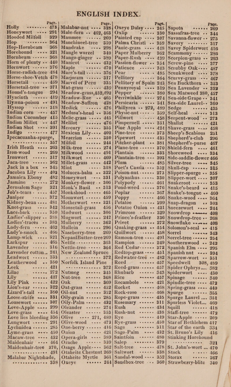 Holly = -++-+--- 473 Honeywort -+++ 291 Hooded Milfoil 329 Hop JMG view BE4 - Hop-Hornbeam 365 Horehound -+-+ 321 Hornbeam ------ 368 - Horn of plenty -- 440 Hornwort .----. 376 Horse-radish-tree 484 Horse-shoe-Vetch 478 Horsetail ...-.. 459 Horsetail-tree -- 371 Hound’s-tongue 294 Hyacinth A419 Hyzna-poison «+ 491 Hyssop 318 Indian corn «++. 457 Indian Cucumber 415 teeeee Malabar-nut ---. Male-fern .- 462, Mammee Manchineel-tree Mandrake Mangle wurzel Mango-ginger Manicot Maple Mare’s-tail - Marjoram Marvel of Peru Mat-grass ...-«- veoervee oonpe eeaeanaeae eve ve 328 463 269 359 298 340 389 432 470 376 317 335 - 439 Meadow-Rue Meadow-Saffron Medick © ...-... Medusa’s-head «- Melic-grass- ee Indian Millet +--+ 447]! Melilot eeecee Indian Shot --+- 391 Mercury . cacacs Indigo ----++++ 477} Mexican Lily.--- Ipecacuanha-spurge, |Mezerion -:+--«-- Seecedeesecces 957) Milfoil Ha wires Irish Heath «.-» 263] Milk-tree --«-.-. Tron-wood e+e. 269] Milkwood -ecce. Ironwort -----. 317|Milkwort «+.«:- Jaca-tree +++++- 362] Millet-grass +++. Jack inabox -- 345|Mint ..«... Jacobea Lily ---. 403 Jamaica Ebony 482 Jasmine «+-.«. 272 Jerusalem Sage 321 Job’s-tears. .... 457 Winiper ...... 372 Kidney-bean.-.. 481 Knot-grass 342 Lace-bark Fesees 350 Ladies’-slipper .- 388 es eea6 Molucca-balm 465 428 476 356 445 476 355 402 350 244 274 491 469 442 318 322 Moneywort &lt;«--- 331 Monkey-flower - + 306 Monk’s Basil ++ 313 Monkshood:-++++ 465 Moonwort -+++-+ 459 Motherwort +++ 321 Mousetail-grass 456 Mudwort ----- - 306 Mugwort ---.«- 242 Mulberry «+++++ 362 Mullein +-++-++- 296 Naseberry-tree 269 Ladies’-traces «+ 383 Lady-fern «+--+. 462 Lady’s-smock «+ 466 Lamp-wick .-.. 321 Larkspur ..--.- 465 Lavender -.-.-.--. 316 Lavender cotton... 241 Leadwort --.-.. 333 Leatherwood .- 350 Leek ieraias 421 Lilae Be age Lily Concer 427 - Lily Pink .--.--.- Lion’s-ear «e+e. Lizard’s-tail +... Loose-strife os. Lousewort ++--e. Love-Apple «««- Love-grass e288 422 322 380 331 307 299 454 NepanlButter-tree 269 Nettle .--c--- eee 363 Nettle-tree--++-+. 364 New Zealand Spruce Be Siete tee Norfolk Island Pine ers vee @ees22026 372 Nutmeg +*see¢ 345 Nut-tree «+++. 368 Oak vacces $69 Oat-grass +++-++ 452 Oil-nut @22e20 352 Oily-grain +-++++ 285 Love lies bleeding 336 Lungwort «+--+. 291 Lychnidea ----++ 285 Lyme-grass «+++ 450 Macaw-tree +--+ 432 Maidenhair ---+ 464 Maidenhair-tree 370, wee enasseases o°¢ 491 Malabar Nightshade, 3 eoerveseveetnnread Oily-Palm -+-+-- 432 Oleander ----- + 274 Oleaster -+---- 353 Olive ++++ 271, 489 Olive-wood ---- 472 One-berry +-+-+- 416 Onion — ---ee- A421 Opera-girls «+--+ 389 Orache. . --°+:-: 339 Osage Apple---+ 362 Otaheite Myrtle @eanveos 361 244 Oxeye Daisy ---- Oxlip Painted CUP +++. Palma Christi Panic-grass Paper Mulber ry Paper-Rush Passion-flower «- Patience Pear Pellitory Pellitory of Spain eeoa e@enr oo oee Page. 245 330 307 359 448 362 439 354 343 485 364 Pennyroyal -+++ 319 Pepper — -+++-+ 380 Perriwinkle ---- 274 Persicaria «++ce- 341 Phillyrea «+ 272, 489 Physic-nut -----+ 359 Pillwort 3 .-.-.. 458 Pimpernell.+++e- 331 Pine Apple «e+. 424 Pine-tree «++er. 373 Pipewort «+++++ 435 Pitcher-plant -- 381 Plane-tree .--&gt;++ 370 Plantain «.-+-cc. 333 Plantain-tree.--. 393 Plum casees 485 Poet’s Cassia:--+ 352 Poison-nut .-2e2. 273 Polyanthus..---. 330 Polypody «-+«++ 461 Pond-weed ..--.«s 376 Poplar seesee 367 Poppy eoecees AGG Potatoe tosewe 299 Potatoe Onion -- 421 Primrose --e-«- 329 Prince’s-feather 236 Privet eccose 272 Quaking-grass «+ 454 Quillwort ..--+. 458 Ramoon-tree «.«- 491 Rampion§ --++s 249 Red Cedar----- » 372 Redtop-grass +--+ 451 Redwater-tree -+ 482 Reed coesee 457 Reed-grass.-+2+- 457 Rhubarb) -+-+-. 843 Rice woesee 457 Rocambole «+--+ 421 Rocket ececee 458 Rock-rose .----- 468 Rope-grass-+++++ 435 Rosemary +++-+-- 311 Rush ened eat 44 Rush-nut -++-+-- 138 Rye sees 449 Rye-grass ---+- - 450 Sage svecseee SIL Sago-Palm +--+ 432 Saintfoin -++--+ 480 Salep ss eee-+0. 379 Salt-tree +---- A478 Saltwort --++-:- 338 Sandal-wood ---. Sandbox-tree .-- 352 360 Page. Sapota ecoces 269 Sassafras-tree -- 344 Savanna-flower -+ 275 Savory -+++-++- 317 Savoy Spiderwort 416 Scammony 286 Scorpion-grass ++ 293 Screw-pine -+++ 377 Scrubby Oak---. 487 Scunkweed --«- 378 Scurvy-grass +++ 467 Sea Buckthorn -- 353 Sea Lavender -+ 332 Sea Matweed 380, 457 Sea-side Grape -- 341 Sea-side Laurel-+ 360 Sedge seccsee A435 Self-heal .e-+ees 313 Serpent-wood -- 273 Shallot cocees 421 Shave-grass +.» 458 Sheep’s Scabious 251 Shepherd’s-club 296 Shepherd’s-purse 467 Shield-fern «... 461 Shoreweed cece» 334 Side-saddle-flower 466 Silver-tree 345 Skull-cap -+eea. 815 Slipper-spurge «+ 355 Slipper-wort ---- 307 Snakeroot -- 353 Snake’s-beard e+ 415 Snake’s-tongue «+ 460 Snake-wood -+«- 364 Snap-dragon «» 303 Sneezewort 244 Snowdrop s-«e--« 408 Snowdrop-tree +- 268 Snowflake +e. 408 Solomon’s-seal «+ 415 Sorrel 343 Sorrel-tree «+2205 254 Southernwood «- 242 Spanish Elm -+++ 295 Spanish nut +--+ 394 Sparrow-wort ++ 351 Speedwell 308, 489 Spider Ophrys.... 382 Spiderwort 430 Spinage 340 Spindle-tree ---- 472 Spring-grass +++. 440 Spurge 355 Spurge Laurel .... 351 Spurless Violet... 469 Squill - A418 Staff-tree 472 Star-Apple------ 269 Star of Bethlehem 417 Star of the earth $34 St. Bruno’s Lily 416 Stinking Horehound 321 470 466 267 340 eeeaevee 6¢2eae eoe¢o 2Paae eonene ease ews ean ®@eenaea see ees eoeeeeoe St. John’s-wort ... Stock + erste Storax Strawberry-blite eeee2re