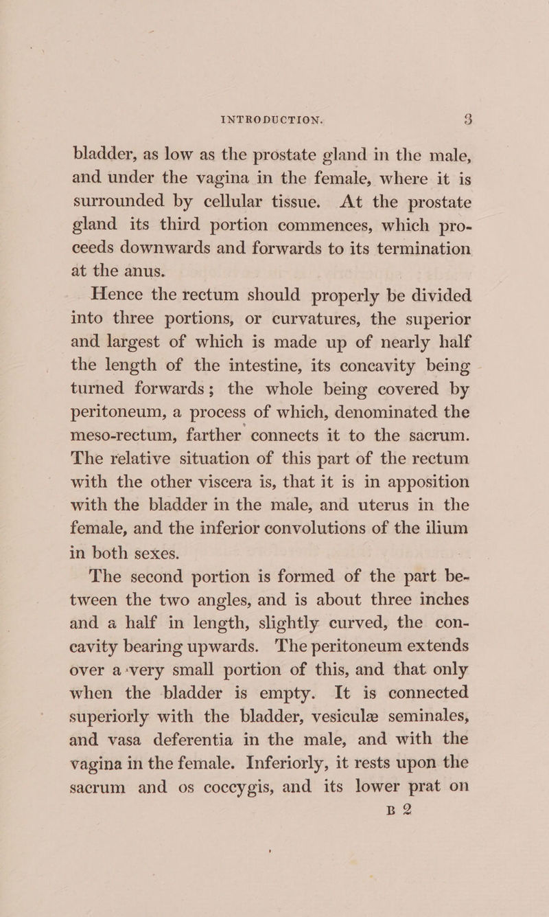 bladder, as low as the prostate gland in the male, and under the vagina in the female, where it is surrounded by cellular tissue. At the prostate gland its third portion commences, which pro- ceeds downwards and forwards to its termination at the anus. Hence the rectum should properly be divided into three portions, or curvatures, the superior and. largest of which is made up of nearly half the length of the intestine, its concavity being - turned forwards; the whole being covered by peritoneum, a process of which, denominated the meso-rectum, farther connects it to the sacrum. The relative situation of this part of the rectum with the other viscera is, that it is in apposition with the bladder in the male, and uterus in the female, and the inferior convolutions of the ilium in both sexes. The second portion is formed of the part it tween the two angles, and is about three inches and a half in length, slightly curved, the con- cavity bearing upwards. The peritoneum extends over avery small portion of this, and that only when the bladder is empty. It is connected superiorly with the bladder, vesicule seminales, and vasa deferentia in the male, and with the vagina in the female. Inferiorly, it rests upon the sacrum and os coccygis, and its lower prat on B 2
