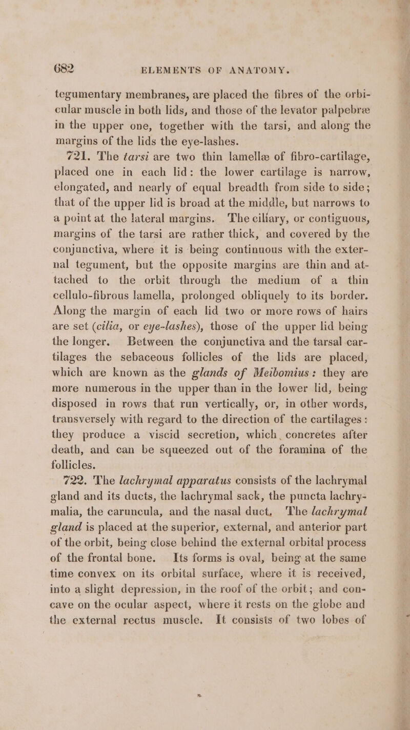 tegumentary membranes, are placed the fibres of the orbi- cular muscle in both lids, and those of the levator palpebree in the upper one, together with the tarsi, and along the margins of the lids the eye-lashes. 721. The tarsi are two thin lamelle of fibro-cartilage, placed one in each lid: the lower cartilage is narrow, elongated, and nearly of equal breadth from side to side; that of the upper lid is broad at the middle, but narrows to a point at the lateral margins. The ciliary, or contiguous, margins of the tarsi are rather thick, and covered by the conjunctiva, where it is being continuous with the exter- nal tegument, but the opposite margins are thin and at- tached to the orbit through the medium of a thin cellulo-fibrous lamella, prolonged obliquely to its border. Along the margin of each lid two or more rows of hairs are set (cilia, or eye-lashes), those of the upper lid being the longer. Between the conjunctiva and the tarsal car- tilages the sebaceous follicles of the lids are placed, which are known as the glands of Meibomius: they are more numerous in the upper than in the lower lid, being disposed in rows that run vertically, or, in other words, transversely with regard to the direction of the cartilages : they produce a viscid secretion, which, concretes after death, and can be squeezed out of the foramina of the follicles. 722. The lachrymal apparatus consists of the lachrymal gland and its ducts, the lachrymal sack, the puncta lachry- malia, the caruncula, and the nasal duct. ‘The lachrymal gland is placed at the superior, external, and anterior part of the orbit, being close behind the external orbital process of the frontal bone. Its forms is oval, being at the same time convex on its orbital surface, where it is received, into a slight depression, in the roof of the orbit; and con- cave on the ocular aspect, where it rests on the globe and the external rectus muscle. It consists of two lobes of