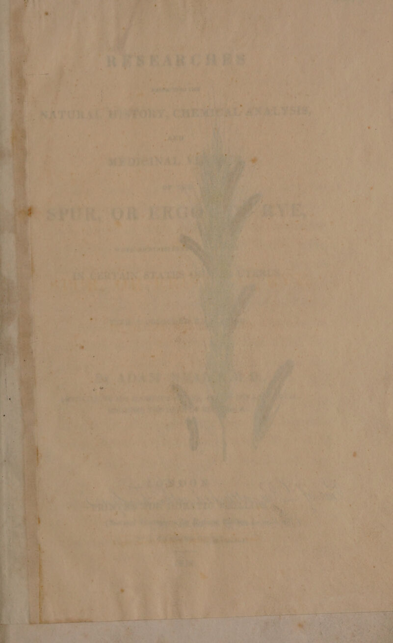 4: E AToR si | &gt; % re * ae mien, ; OBEY ia e mT : ye y A vr ‘ 3 ee AM Ds. , PF: 7v ; « 208 Ce  is ty = e&lt; id ie ae ® f ger i ae Se: « n ; “ Wis icg Sa oe Way, * Re ERB ‘ cet : 3 Bi rs a ‘ i ‘ F RA Burs Se 3 urpgeeibae nt ide Se neha 'e J i us *, ~~ * a ats a 5 4 &lt; dy eye