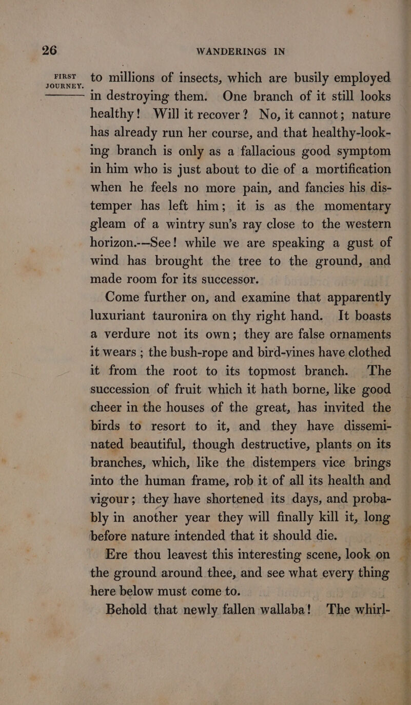 FIRST JOURNEY. to millions of insects, which are busily employed in destroying them. One branch of it still looks healthy! Will it recover? No, it cannot; nature has already run her course, and that healthy-look- ing branch is only as a fallacious good symptom in him who is just about to die of a mortification when he feels no more pain, and fancies his dis- temper has left him; it is as the momentary gleam of a wintry sun’s ray close to the western horizon.-—See! while we are speaking a gust of wind has brought the tree to the ground, and made room for its successor. Come further on, and examine that apparently luxuriant tauronira on thy right hand. It boasts a verdure not its own; they are false ornaments it wears ; the bush-rope and bird-vines have clothed it from the root to its topmost branch. The succession of fruit which it hath borne, like good cheer in the houses of the great, has invited the nated beautiful, though destructive, plants on its branches, which, like the distempers vice brings into the human frame, rob it of all its health and vigour; they have shortened its days, and proba- bly in another year they will finally kill it, long Ere thou leavest this interesting scene, look on here below must come to. ; Behold that newly fallen wallaba! The whirl- bog Ss