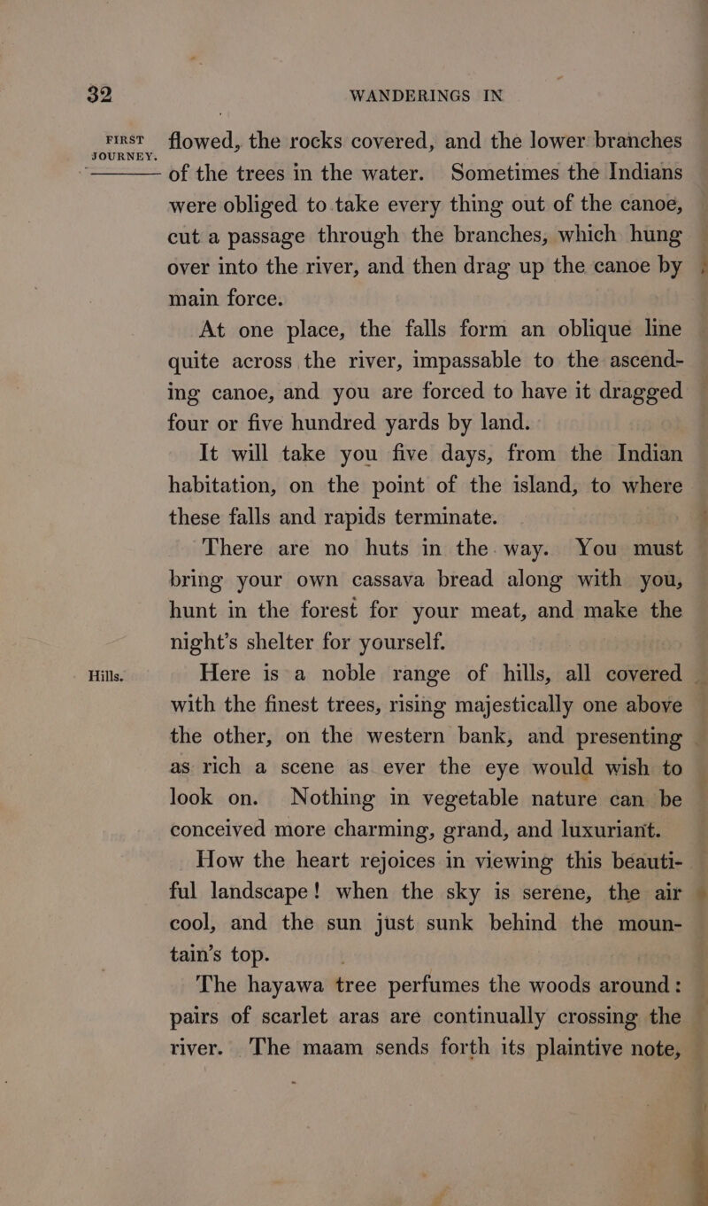 FIRST Hills. flowed, the rocks covered, and the lower branches of the trees in the water. Sometimes the Indians were obliged to take every thing out of the canoe, cut.a passage through the branches, which hung over into the river, and then drag up the canoe by main force. At one place, the falls form an oblique line quite across the river, impassable to the ascend- ing canoe, and you are forced to have it dragged four or five hundred yards by land. It will take you five days, from the Indian habitation, on the point of the island, to where these falls and rapids terminate. There are no huts in the. way. You must bring your own cassava bread along with you, hunt in the forest for your meat, and make the night’s shelter for yourself. | Here is a noble range of hills, all covered — with the finest trees, rising majestically one above the other, on the western bank, and presenting 3 as rich a scene as ever the eye would wish to © look on. Nothing in vegetable nature can be conceived more charming, grand, and luxuriant. How the heart rejoices in viewing this beauti-. ful landscape! when the sky is serene, the air cool, and the sun just sunk behind the moun- tain’s top. | | The hayawa tree perfumes the woods around: pairs of scarlet aras are continually crossing the — river. The maam sends forth its plaintive note, —