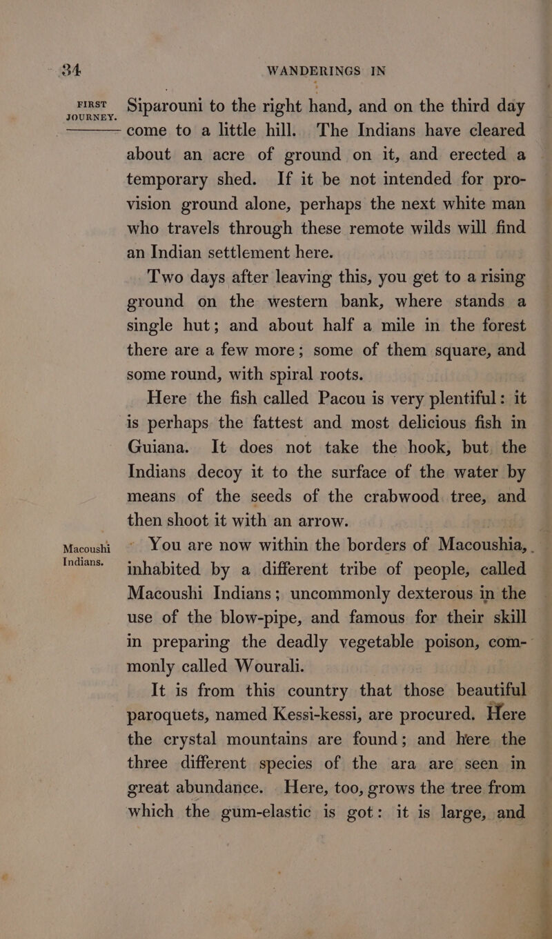 see Siparouni to the right oan and on the third day come to a little hill. The Indians have cleared about an acre of ground on it, and erected a temporary shed. If it be not intended for pro- vision ground alone, perhaps the next white man who travels through these remote wilds will find an Indian settlement here. Two days after leaving this, you get to a rising ground on the western bank, where stands a single hut; and about half a mile in the forest there are a few more; some of them square, and some round, with spiral roots. Here the fish called Pacou is very plentiful: it is perhaps the fattest and most delicious fish in Guiana. It does not take the hook, but. the Indians decoy it to the surface of the water by means of the seeds of the crabwood. tree, and then shoot it with an arrow. } Macoushi ~ YOU are now within the borders of Macoushia, . Indians: inhabited by a different tribe of people, called Macoushi Indians; uncommonly dexterous in the use of the blow-pipe, and famous for their skill in preparing the deadly vegetable poison, com- monly called Wourali. It is from this country that those beautiful paroquets, named Kessi-kessi, are procured. Here the crystal mountains are found; and here the three different species of the ara are seen in great abundance. | Here, too, grows the tree from which the gum-elastic is got: it is large, and