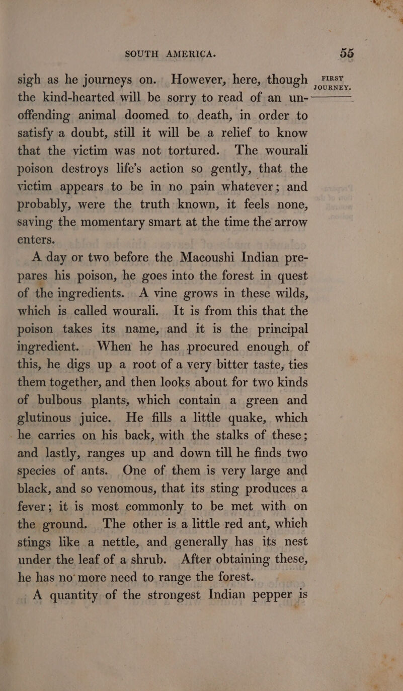 the kind-hearted will be sorry to read of an un- offending animal doomed to death, in order to satisfy a doubt, still it will be a relief to know that the victim was not tortured. The wourali poison destroys life’s action so gently, that the victim appears to be in no pain whatever; and probably, were the truth known, it feels none, saving the momentary smart at the time the arrow enters. A day or two before the Macoushi Indian pre- pares his poison, he goes into the forest in quest of the ingredients. A vine grows in these wilds, which is called wourali. It is from this that the poison takes its name, and it is the principal ingredient. _When he has procured enough of this, he digs up a root of a very bitter taste, ties them together, and then looks about for two kinds of bulbous plants, which contain a green and glutinous juice. He fills a little quake, which _he carries on his back, with the stalks of these; and lastly, ranges up and down till he finds two species of ants. One of them is very large and black, and so venomous, that its sting produces a fever; it is most commonly to be met with on the ground. The other is a little red ant, which stings like a nettle, and generally has its nest under the leaf of a shrub. After obtaining these, he has no’ more need to range the forest. _A quantity of the strongest Indian pepper is FIRST