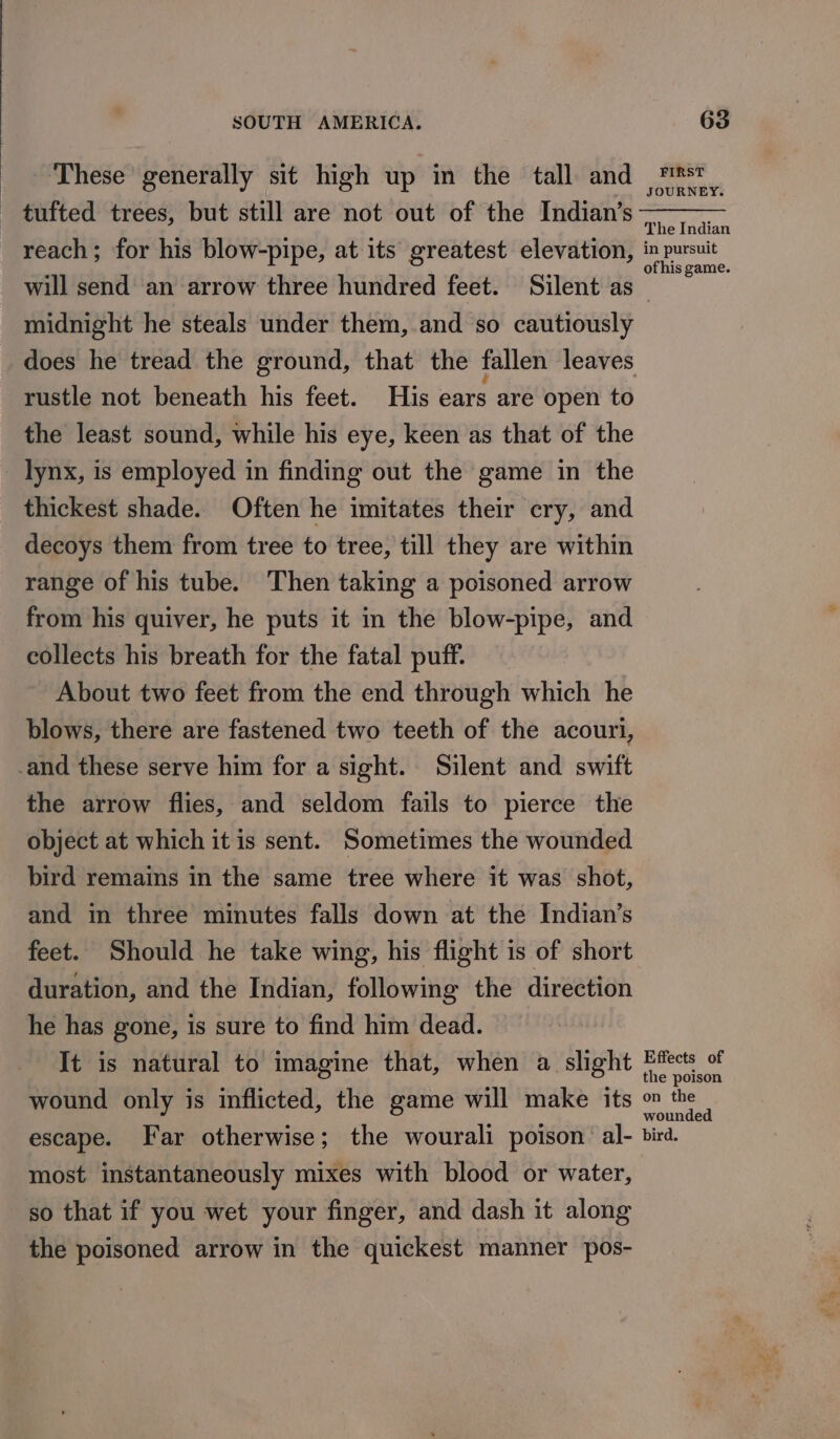 These generally sit high up in the tall and tufted trees, but still are not out of the Indian’s reach; for his blow-pipe, at its greatest elevation, midnight he steals under them,.and so cautiously rustle not beneath his feet. His ears are open to the least sound, while his eye, keen as that of the _ lynx, is employed in finding out the game in the thickest shade. Often he imitates their cry, and decoys them from tree to tree, till they are within range of his tube. Then taking a poisoned arrow from his quiver, he puts it in the blow-pipe, and collects his breath for the fatal puff. About two feet from the end through which he blows, there are fastened two teeth of the acouri, _and these serve him for a sight. Silent and swift the arrow flies, and seldom fails to pierce the object at which it is sent. Sometimes the wounded bird remains in the same tree where it was shot, and in three minutes falls down at the Indian’s feet. Should he take wing, his flight is of short duration, and the Indian, following the direction he has gone, is sure to find him dead. It is natural to imagine that, when a slight wound only is inflicted, the game will make its escape. Far otherwise; the wourali poison: al- most instantaneously mixes with blood or water, so that if you wet your finger, and dash it along the poisoned arrow in the quickest manner pos- FIRST JOURNEY. The Indian in pursuit ofhis game. Effects of the poison on the wounded bird.