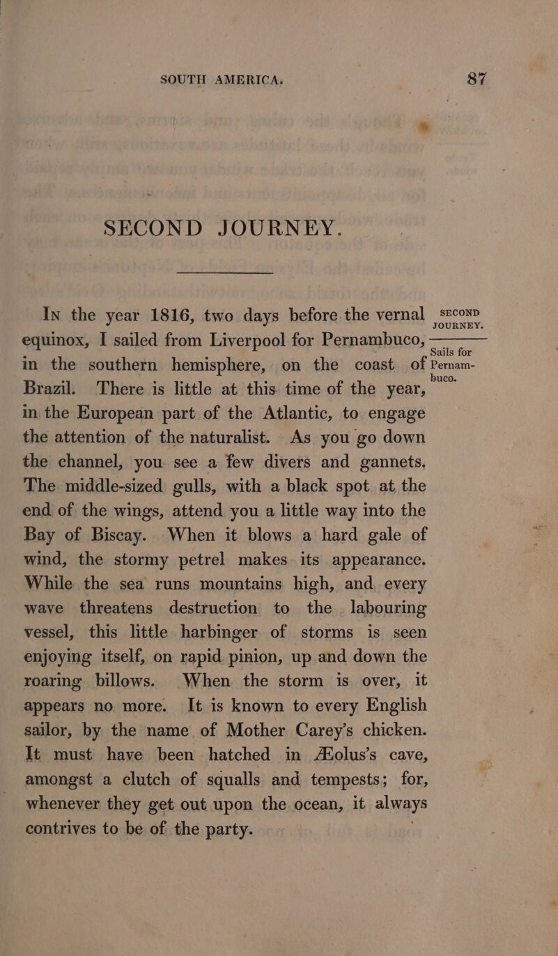 SECOND JOURNEY. equinox, I sailed from Liverpool for Pernambuco, in the European part of the Atlantic, to engage the attention of the naturalist. As you go down the channel, you. see a few divers and gannets. The middle-sized gulls, with a black spot at the end of the wings, attend you a little way into the Bay of Biscay. When it blows a hard gale of wind, the stormy petrel makes its appearance. While the sea runs mountains high, and, every wave threatens destruction to the labouring vessel, this little harbinger of storms is seen enjoying itself, on rapid pinion, up and down the roaring billows. When the storm is. over, it appears no more. It is known to every English sailor, by the name of Mother Carey’s chicken. It must have been hatched in AX¢olus’s cave, amongst a clutch of squalls and tempests; for, whenever they get out upon the ocean, it always contrives to be of the party.