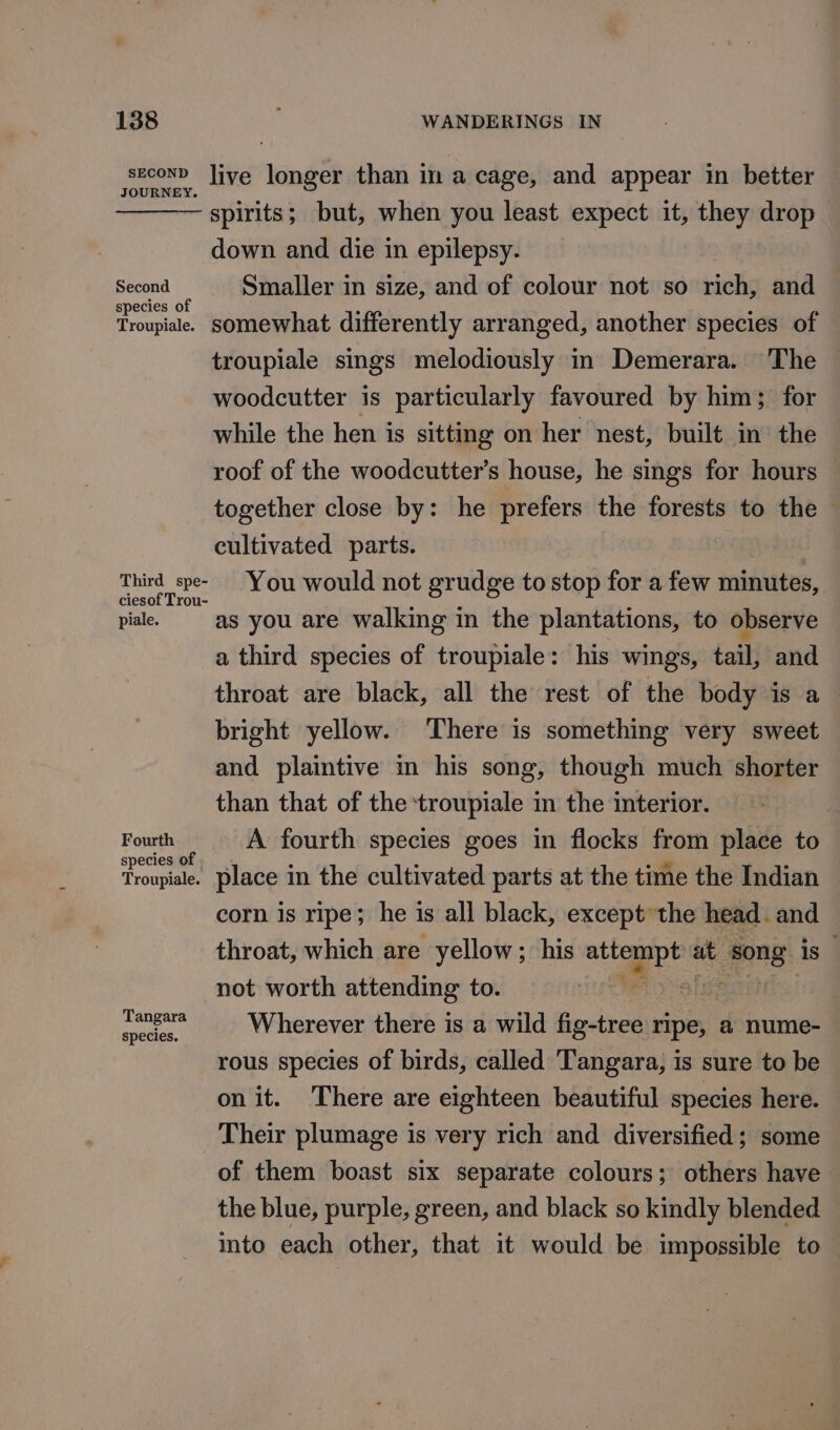 seconD live longer than im a cage, and appear in better JOURNEY - spirits; but, when you least expect it, they drop down and die in epilepsy. Second Smaller in size, and of colour not so rich, and Troupiale somewhat differently arranged, another species of troupiale sings melodiously in Demerara. The woodcutter is particularly favoured by him; for while the hen is sitting on her nest, built in’ the roof of the woodcutter’s house, he sings for hours together close by: he prefers the forests to the | cultivated parts. eae ee You would not grudge to stop for a few minutes, piale. as you are walking in the plantations, to observe a third species of troupiale: his wings, tail, and throat are black, all the rest of the body is a bright yellow. There is something very sweet and plaintive in his song, though much shorter than that of the troupiale in the interior. Fourth A fourth species goes in flocks from place to Troupiae. place in the cultivated parts at the time the Indian corn is ripe; he is all black, except the head. and throat, which are yellow; his nthe at os is not worth attending to. oe Wherever there is a wild fig-tree ripe, a nume- rous species of birds, called Tangara, is sure to be on it. There are eighteen beautiful species here. Their plumage is very rich and diversified ; some of them boast six separate colours; others have the blue, purple, green, and black so kindly blended into each other, that it would be impossible to— Tangara species.