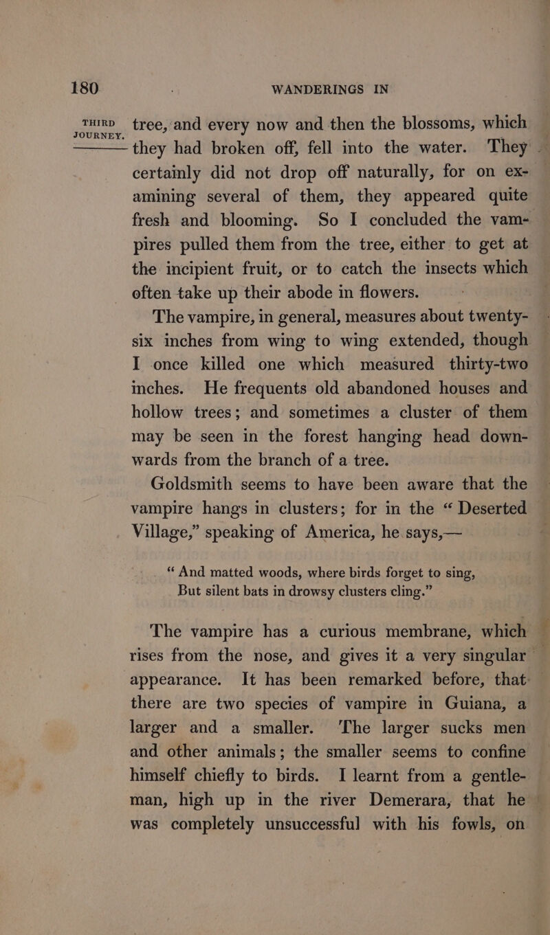 THIRD JOURNEY. tree, and every now and then the blossoms, which | they had broken off, fell into the water. They — certainly did not drop off naturally, for on ex- amining several of them, they appeared quite fresh and blooming. So I concluded the vam-— pires pulled them from the tree, either to get at the incipient fruit, or to catch the insects which eften take up their abode in flowers. six inches from wing to wing extended, though I once killed one which measured thirty-two inches. He frequents old abandoned houses and hollow trees; and sometimes a cluster of them may be seen in the forest hanging head down- wards from the branch of a tree. Goldsmith seems to have been aware that the vampire hangs in clusters; for in the “ Deserted Village,” speaking of America, he says,— ‘And matted woods, where birds forget to sing, But silent bats in drowsy clusters cling.” The vampire has a curious membrane, which rises from the nose, and gives it a very singular — appearance. It has been remarked before, that: there are two species of vampire in Guiana, a larger and a smaller. ‘The larger sucks men and other animals; the smaller seems to confine himself chiefly to birds. I learnt from a gentle- — man, high up in the river Demerara, that he — was completely unsuccessful with his fowls, on