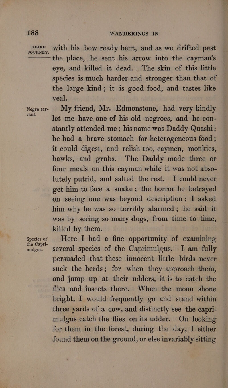 THIRD JOURNEY. Negro ser- vant. Species of the Capri- mulgus. with his bow ready bent, and as we drifted past the place, he sent his arrow into the cayman’s eye, and killed it dead. The skin of this little species is much harder and stronger than that of the large kind; it is good food, and tastes like veal. My friend, Mr. Edmonstone, had very kindly let me have one of his old negroes, and he con- stantly attended me; his name was Daddy Quashi; he had a brave stomach for heterogeneous food ; it could digest, and relish too, caymen, monkies, hawks, and grubs. The Daddy made three or four meals on this cayman while it was not abso- lutely putrid, and salted the rest. I could never get him to face a snake; the horror he betrayed on seeing one was beyond description; I asked him why he was so terribly alarmed; he said it was by seeing so many dogs, from time to time, killed by them. Here I had a fine opportunity of examining several species of the Caprimulgus. I am fully persuaded that these innocent little birds never suck the herds; for when they approach them, and jump up at their udders, it is to catch the flies and insects there. When the moon shone bright, I would frequently go and stand within three yards of a cow, and distinctly see the capri- mulgus catch the flies on its udder. On looking for them in the forest, during the day, I either