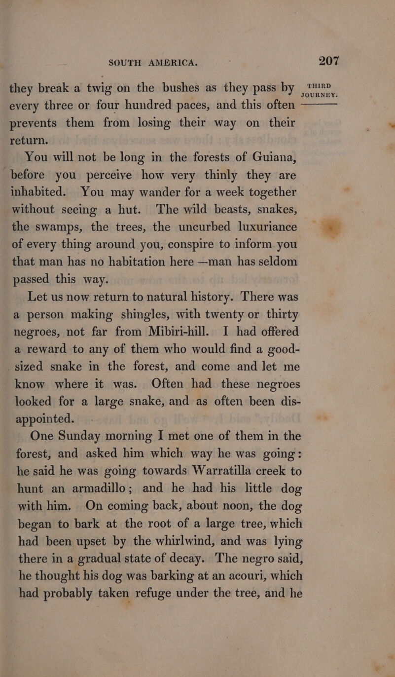 they break a twig on the bushes as they pass by every three or four hundred paces, and this often prevents them from losing their way on their return. You will not be long in the forests of Guiana, before you perceive how very thinly they are inhabited. You may wander for a week together without seeing a hut. The wild beasts, snakes, the swamps, the trees, the uncurbed luxuriance of every thing around you, conspire to inform you that man has no habitation here —man has seldom passed this way. Let us now return to natural history. There was a person making shingles, with twenty or thirty negroes, not far from Mibiri-hill. I had offered a reward to any of them who would find a good- _sized snake in the forest, and come and let me know where it was. Often had these negroes looked for a large snake, and as often been dis- appointed. One Sunday morning I met one of them in the forest, and asked him which way he was going: he said he was going towards Warratilla creek to hunt an armadillo; and he had his little dog with him. On coming back, about noon, the dog began to bark at the root of a large tree, which had been upset by the whirlwind, and was lying there in a gradual state of decay. The negro said, he thought his dog was barking at an acouri, which had probably taken refuge under the tree, and he 207 THIRD JOURNEY.