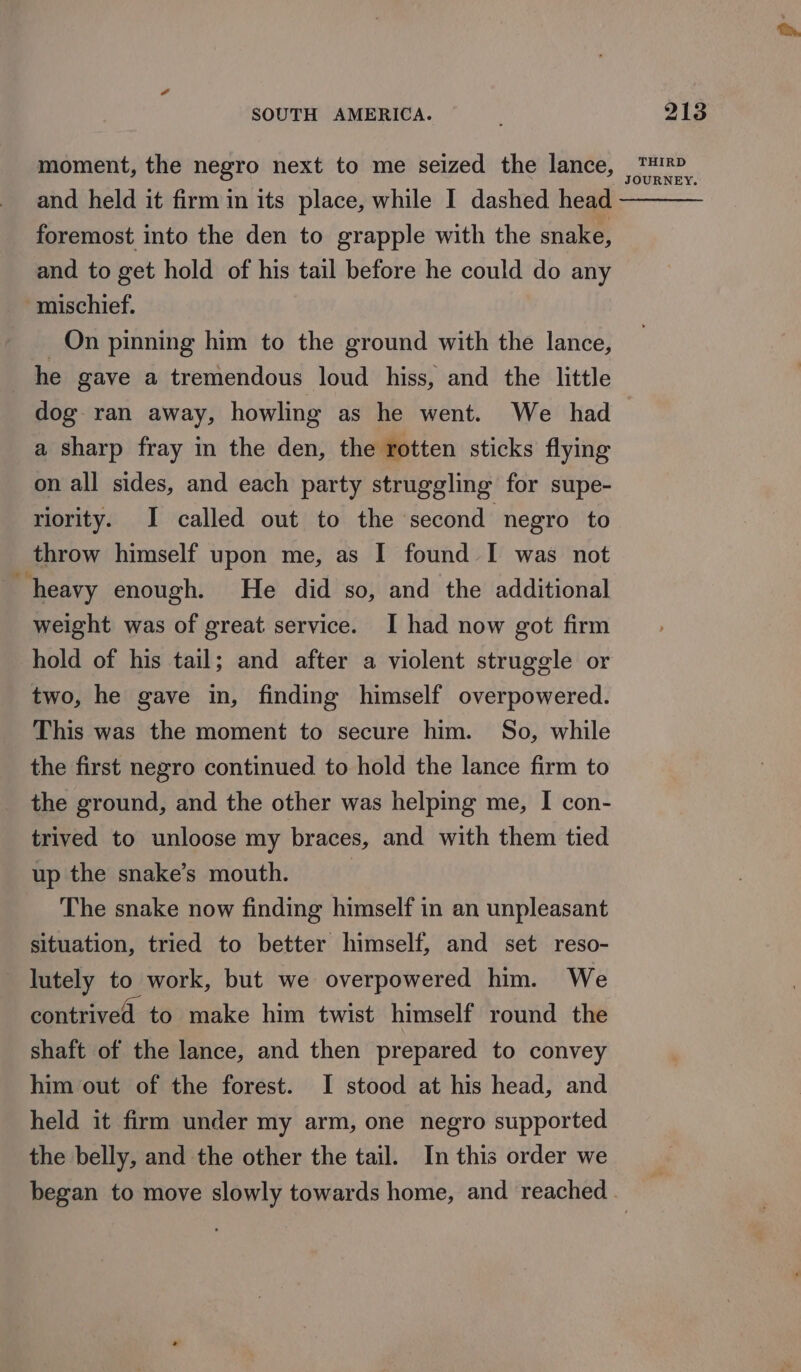 moment, the negro next to me seized the lance, and held it firm in its place, while I dashed head foremost into the den to grapple with the snake, and to get hold of his tail before he could do any mischief. On pinning him to the ground with the lance, _ he gave a tremendous loud hiss, and the little dog ran away, howling as he went. We had a sharp fray in the den, the rotten sticks flying on all sides, and each party struggling for supe- riority. I called out to the second negro to throw himself upon me, as I found I was not heavy enough. He did so, and the additional weight was of great service. I had now got firm hold of his tail; and after a violent struggle or two, he gave in, finding himself overpowered. This was the moment to secure him. So, while the first negro continued to hold the lance firm to the ground, and the other was helping me, I con- trived to unloose my braces, and with them tied up the snake’s mouth. | The snake now finding himself in an unpleasant situation, tried to better himself, and set reso- lutely to work, but we overpowered him. We contrived to make him twist himself round the shaft of the lance, and then prepared to convey him out of the forest. I stood at his head, and held it firm under my arm, one negro supported the belly, and the other the tail. In this order we