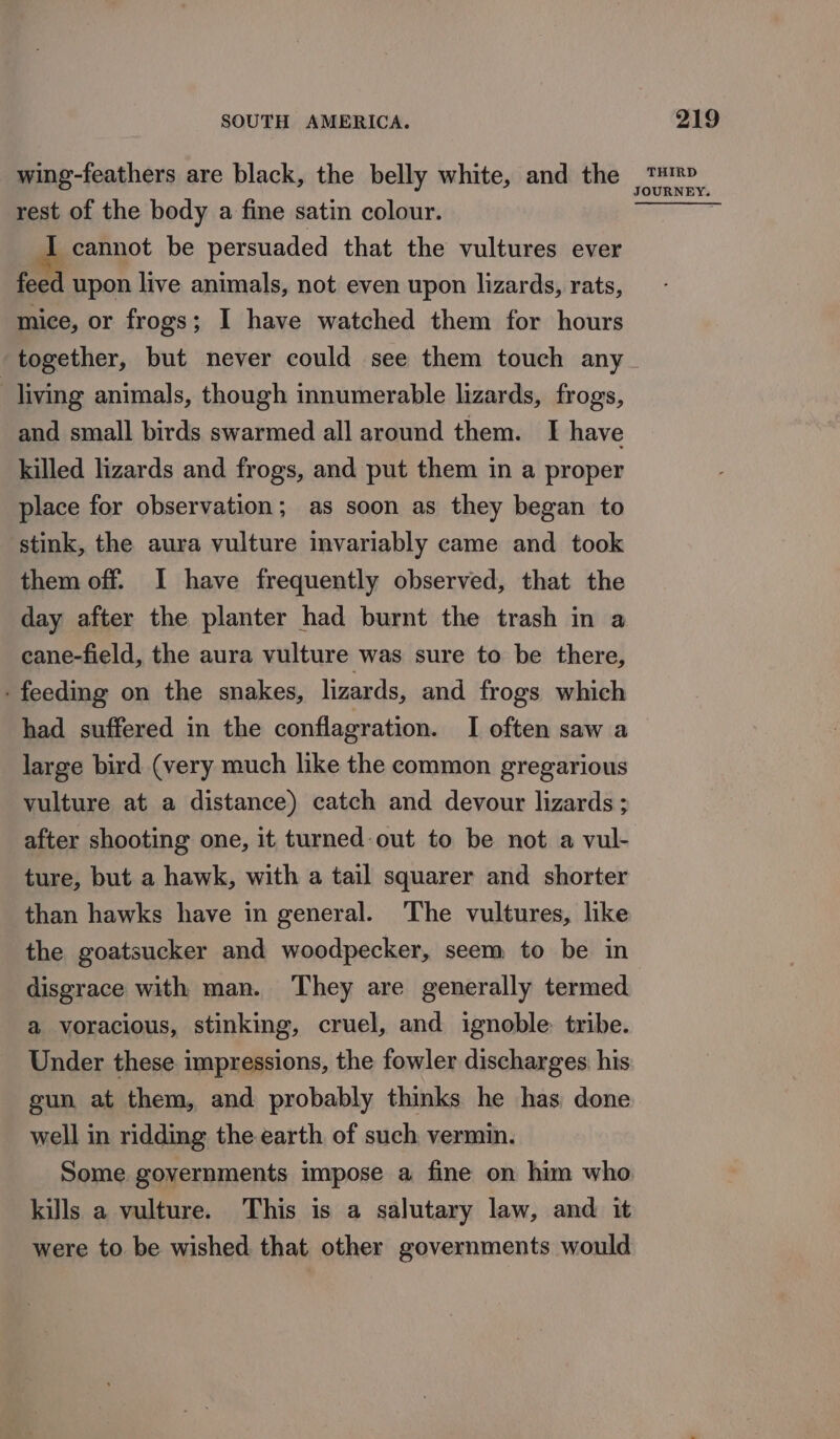 wing-feathers are black, the belly white, and the rest of the body a fine satin colour. I cannot be persuaded that the vultures ever feed upon live animals, not even upon lizards, rats, mice, or frogs; I have watched them for hours together, but never could see them touch any living animals, though innumerable lizards, frogs, and small birds swarmed all around them. I have killed lizards and frogs, and put them in a proper place for observation; as soon as they began to stink, the aura vulture invariably came and took them off. I have frequently observed, that the day after the planter had burnt the trash in a cane-field, the aura vulture was sure to be there, - feeding on the snakes, lizards, and frogs which had suffered in the conflagration. I often saw a large bird (very much like the common gregarious vulture at a distance) catch and devour lizards ; after shooting one, it turned out to be not a vul- ture, but a hawk, with a tail squarer and shorter than hawks have in general. The vultures, like the goatsucker and woodpecker, seem to be in disgrace with man. They are generally termed a voracious, stinking, cruel, and ignoble: tribe. Under these impressions, the fowler discharges: his gun at them, and probably thinks he has done well in ridding the earth of such vermin. kills a vulture. This is a salutary law, and it were to be wished that other governments would THIRD JOURNEY.