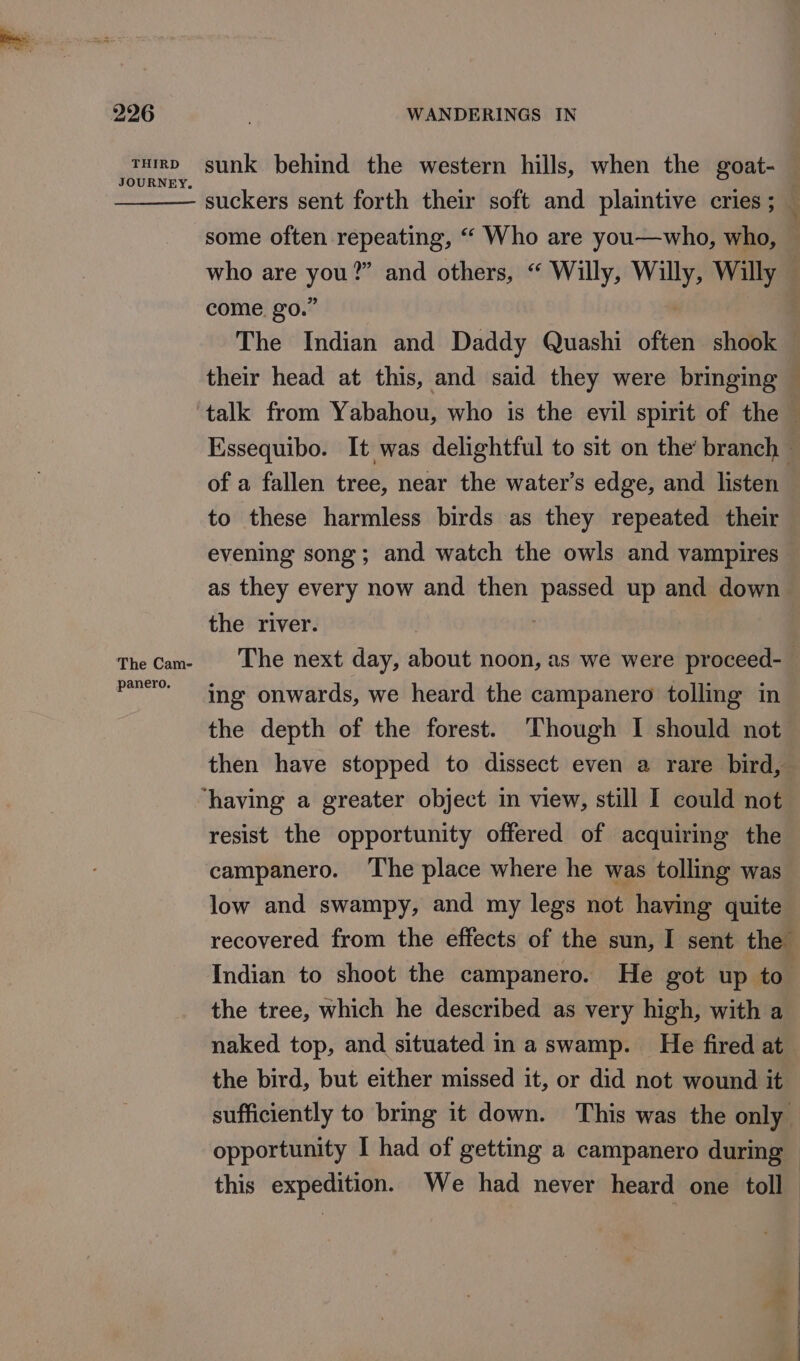 THIRD JOURNEY panero. sunk behind the western hills, when the goat- - suckers sent forth their soft and plaintive cries ; some often repeating, “ Who are you—who, who, come. go.” The Indian and Daddy Quashi often shook of a fallen tree, near the water’s edge, and listen to these harmless birds as they repeated their evening song; and watch the owls and vampires the river. ing onwards, we heard the campanero tolling in the depth of the forest. Though I should not then have stopped to dissect even a rare bird, resist the opportunity offered of acquiring the campanero. ‘The place where he was tolling was low and swampy, and my legs not having quite the tree, which he described as very high, with a naked top, and situated ina swamp. He fired at the bird, but either missed it, or did not wound it sufficiently to bring it down. This was the only