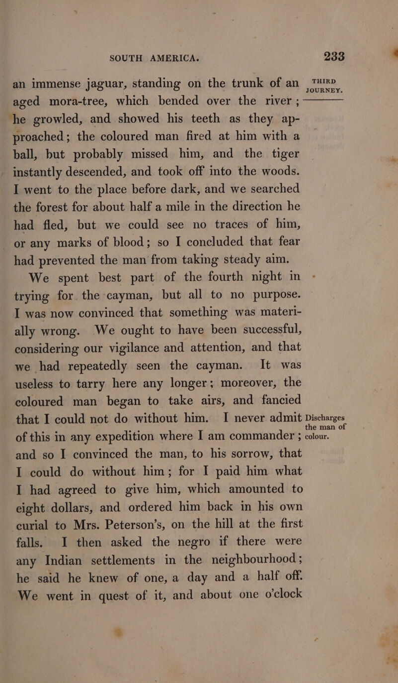 an immense jaguar, standing on the trunk of an aged mora-tree, which bended over the river ; he growled, and showed his teeth as they ap- proached; the coloured man fired at him with a ball, but probably missed him, and the tiger instantly descended, and took off into the woods. I went to the place before dark, and we searched the forest for about half a mile in the direction he had fled, but we could see no traces of him, or any marks of blood; so I concluded that fear had prevented the man from taking steady aim. We spent best part of the fourth night in trying for. the cayman, but all to no purpose. I was now convinced that something was materi- ally wrong. -We ought to have been successful, considering our vigilance and attention, and that we had repeatedly seen the cayman. It was useless to tarry here any longer; moreover, the coloured man began to take airs, and fancied THIRD JOURNEY. and so I convinced the man, to his sorrow, that I could do without him; for I paid him what I had agreed to give him, which amounted to eight dollars, and ordered him back in his own curial to Mrs. Peterson’s, on the hill at the first falls. I then asked the negro if there were any Indian settlements in the neighbourhood; he said he knew of one, a day and a half off. We went in quest of it, and about one o'clock