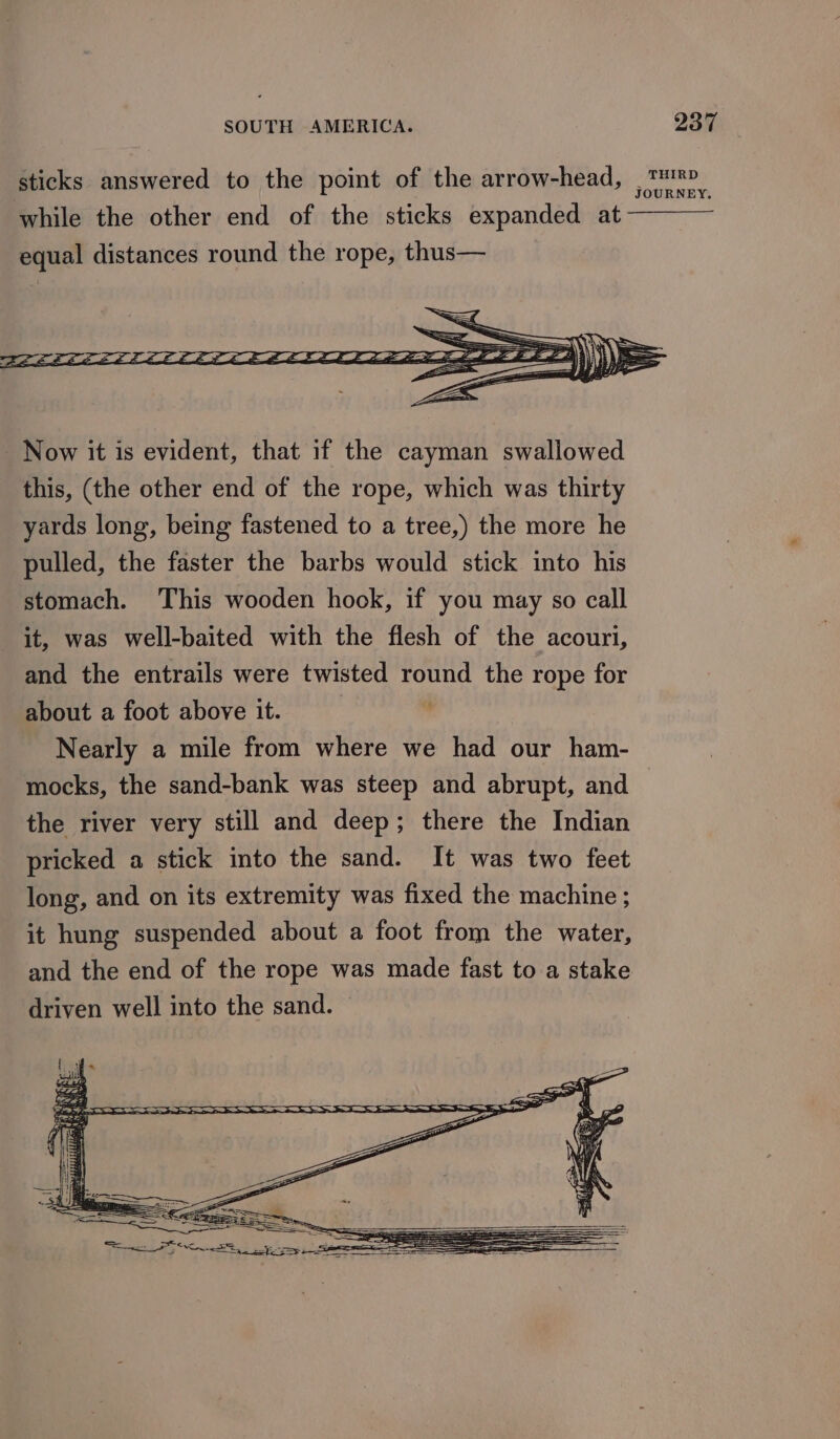 sticks answered to the point of the arrow-head, while the other end of the sticks expanded at equal distances round the rope, thus— THIRD JOURNEY. Now it is evident, that if the cayman swallowed this, (the other end of the rope, which was thirty yards long, being fastened to a tree,) the more he pulled, the faster the barbs would stick into his stomach. This wooden hook, if you may so call it, was well-baited with the flesh of the acouri, and the entrails were twisted round the rope for about a foot above it. | Nearly a mile from where we had our ham- mocks, the sand-bank was steep and abrupt, and the river very still and deep; there the Indian pricked a stick into the sand. It was two feet long, and on its extremity was fixed the machine ; it hung suspended about a foot from the water, and the end of the rope was made fast to a stake driven well into the sand. —