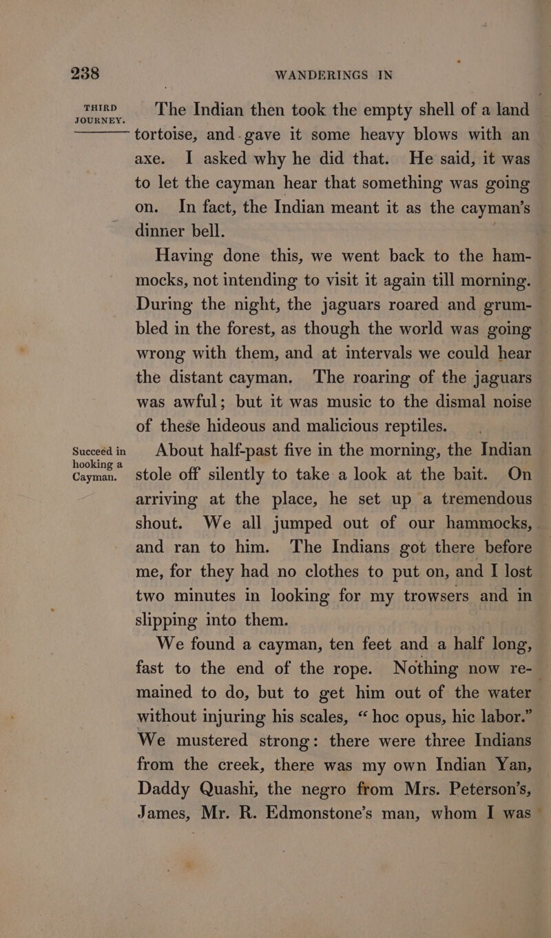 THIRD The Indian then took the empty shell a6 a land JOURNEY. tortoise, and. gave it some heavy blows with an axe. I asked why he did that. He said, it was to let the cayman hear that something was going on. In fact, the Indian meant it as the cayman’s dinner bell. | Having done this, we went back to the ham- mocks, not intending to visit it again till morning. — During the night, the jaguars roared and grum- bled in the forest, as though the world was going wrong with them, and at intervals we could hear the distant cayman, The roaring of the jaguars was awful; but 1t was music to the dismal noise of these hideous and malicious reptiles. Succeedin About half-past five in the morning, the Indian cay stole off silently to take a look at the bait. On arriving at the place, he set up a tremendous shout. We all jumped out of our hammocks, and ran to him. The Indians got there before me, for they had no clothes to put on, and I lost two minutes in looking for my trowsers and in slipping into them. We found a cayman, ten feet and a half long, fast to the end of the rope. Nothing now re- mained to do, but to get him out of the water without injuring his scales, “ hoc opus, hic labor.” We mustered strong: there were three Indians from the creek, there was my own Indian Yan, Daddy Quashi, the negro from Mrs. Peterson’s, James, Mr. R. Edmonstone’s man, whom I was ~