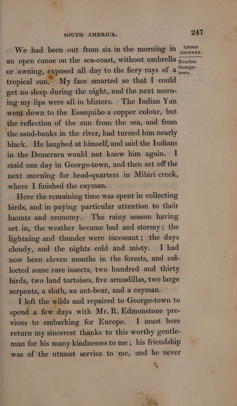 We had been out from six in the morning In Cu) an open canoe on the sea-coast, without umbrella peaches or awning, exposed all day to the fiery rays of a rh ia tropical sun. My face smarted so that I could get no sleep during the night, and the next morn- ing my lips were all in blisters. The Indian Yan went down to the Essequibo a copper colour, but the reflection of the sun from the sea, and from the sand-banks in the river, had turned him nearly black. He laughed at himself, and said the Indians in the Demerara would not know him again. I staid one day in George-town, and then set off the next morning for head-quarters in Mibiri creek, where I finished the cayman. Here the remaining time was spent in collecting — birds, and in paying particular attention to their haunts and economy. The rainy season having set in, the weather became bad and stormy; the lightning and thunder were incessant; the days cloudy, and the nights cold and misty. I had now been eleven months in the forests, and col- lected some rare insects, two hundred and thirty birds, two land tortoises, five armadillas, two large serpents, a sloth, an ant-bear, and a cayman. I left the wilds and repaired to George-town to spend a few days with Mr. R. Edmonstone pre- vious to embarking for Europe. I must here return my sincerest thanks to this worthy gentle- man for his many kindnesses to me ;_his friendship was of the utmost service to me, and he never