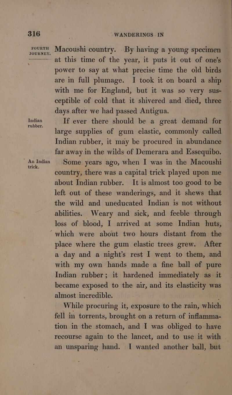 JOURNEY. i ‘ v P ~ at this time of the year, it puts it out of one’s power to say at what precise time the old birds are in full plumage. I took it on board a ship LS with me for England, but it was so very sus-— ceptible of cold that it shivered and died, three days.after we had passed Antigua. se zini _ If ever there should be a great demand for large supplies of gum elastic, commonly called Indian rubber, it may be procured in abundance far away in the wilds of Demerara and Essequibo. An Indian Some years ago, when I was in the Macoushi country, there was a capital trick played upon me about Indian rubber. It is almost too good to be left out of these wanderings, and it shews that the wild and uneducated Indian is not without abilities. Weary and sick, and feeble through loss of blood, I arrived at some Indian huts, ~which were about two hours distant from the place where the gum elastic trees grew. After a day and a night’s rest I went to them, and with my own hands made a fine ball of pure Indian rubber; it hardened immediately as it became exposed to the air, and its elasticity was almost incredible. While procuring it, exposure to the rain, which fell in torrents, brought on a return of inflamma- tion in the stomach, and I was obliged to have recourse again to the lancet, and to use it with an unsparing hand. I wanted another ball, but