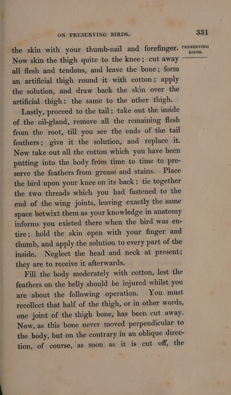 Now skin the thigh quite to the knee; cut away all flesh and tendons, and leave the bone; form an artificial thigh round it with cotton; apply the solution, and draw back the skin over the artificial thigh: the same to the other thigh. Lastly, proceed to the tail; take out the inside of the oil-gland, remove all the remaining flesh from the root, till you see the ends of the tail feathers; give it the solution, and replace it. Now take out all the cotton which you have been putting into the body from time to time to pre- serve the feathers from grease and stains. Place the bird upon your knee on its back ; tie together the two threads which you had fastened to the end of the wing joints, leaving exactly the same space betwixt them as your knowledge in anatomy informs you existed there when the bird was en- tire; hold the skin open with your finger and thumb, and apply the solution to every part of the inside. Neglect the head and neck at present; they are to receive it afterwards. Fill the body moderately with cotton, lest the feathers on the belly should be injured whilst you are about the following operation. You must recollect that half of the thigh, or in other words, one joint of the thigh bone, has been cut away. Now, as this bone never moved perpendicular to the body, but on the contrary in an oblique direc- tion, of course, as soon as it is cut off, the