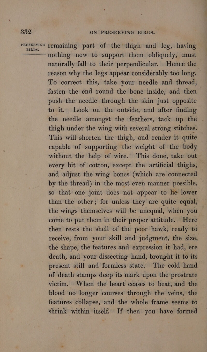 BI ON PRESERVING BIRDS. naturally fall to their perpendicular. Hence the reason why the legs appear considerably too long. To correct this, take your needle and thread, fasten the end round the bone inside, and then push the needle through the skin just opposite to it. Look on the outside, and after finding the needle amongst the feathers, tack up the . thigh under the wing with several strong stitches. This will shorten the thigh, and render it quite capable of supporting the weight of the body without the help of wire. This done, take out every bit of cotton, except the artificial thighs, — and adjust the wing bones (which are connected by the thread) in the most even manner possible, so that one joint does not appear to lie lower than the other; for unless they are quite equal, the wings themselves will be unequal, when you — come to put them in their proper attitude. Here then rests the shell of the poor hawk, ready to receive, from your skill and judgment, the size, the shape, the features and expression it had, ere death, and your dissecting hand, brought it to its present still and formless state. ‘The cold hand of death stamps deep its mark upon the prostrate victim. When the heart ceases to beat, and the blood no longer courses through the veins, the features collapse, and the whole frame seems to shrink within itself. If then you have formed