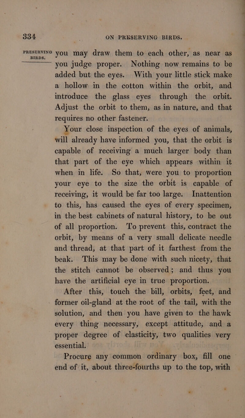 Ss. you judge proper. Nothing now remains to be added but the eyes. With your little stick make a hollow in the cotton within the orbit, and introduce the glass eyes through the orbit. Adjust the orbit to them, as in nature, and that requires no other fastener. Your close inspection of the eyes of animals, will already have informed you, that the orbit is capable of receiving a much larger body than that part of the eye which appears within it when in life. So that, were you to proportion your eye to the size the orbit is capable of receiving, it would be far too large. Inattention to this, has caused the eyes of every specimen, in the best cabinets of natural history, to be out of all proportion. ‘To prevent this, contract the orbit, by means of a very small delicate needle and thread, at that part of it farthest from the beak. This may be done with such nicety, that the stitch cannot be observed; and thus you have the artificial eye in true proportion. After this, touch the bill, orbits, feet, and former oil-gland at the root of the tail, with the solution, and then you have given to the hawk every thing necessary, except attitude, and a proper degree of elasticity, two qualities very essential. Procure any common ordinary box, fill one — end of. it, about three-fourths up to the top, with