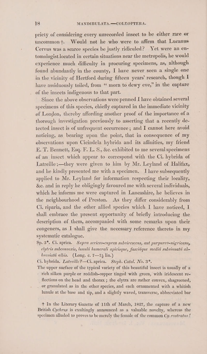 priety of considering every unrecorded inseet to be either rare or uncommon +. Would not he who were to affirm that Lucanus Cervus was a scarce species be justly ridiculed? Yet were an en- tomologist located in certain situations near the metropolis, he would experience much difficulty in procuring specimens, as, although found abundantly in the county, I have never seen a single one in the vicinity of Hertford during fifteen years’ research, though I have assiduously toiled, from “ morn to dewy eve,” in the capture of the insects indigenous to that part. Since the above observations were penned I have obtained cel specimens of this species, chiefly captured in the immediate vicinity of London, thereby affording another proof of the importance of a thorough investigation previously to asserting that a recently de- tected insect is of unfrequent occurrence; and I cannot here avoid noticing, as bearing upon the point, that in consequence of my observations upon Cicindela hybrida and its affinities, my friend E. T. Bennett, Esq. F. L. S., &amp;e. exhibited to me several specimens of an insect which appear to correspond with the Ci. hybrida of Latreille;—they were given to him by Mr. Leyland of Halifax, and he kindly presented me with a specimen. J have subsequently applied to Mr. Leyland for information respecting their locality, &amp;e. and in reply he obligingly favoured me with several individuals, which he informs me were captured in Lancashire, he believes in the neighbourhood of Preston. As they differ considerably from Ci. riparia, and the other allied species which I have noticed, I shall embrace the present opportunity of briefly introducing the description of them, accompanied with some remarks upon their congeners, as I shall give the necessary reference thereto in my systematic catalogue. Sp. 3*. Ci. aprica. Supra sericeo-cuprea subvirescens, aut purpureo-nigricansy elytris subconvexts, lunulé humerali apicisque, fasciaque medid subsinuatd ab= breviaté albis. (Long. c. 7—72 lin.) Ci. hybrida. Latreille?—Ci. aprica. Steph. Catal. No. 3*. The upper surface of the typical variety of this beautiful insect is usually of a . rich silken purple or reddish-copper tinged with green, with iridescent re- flections on the head and thorax ; the elytra are rather convex, shagreened, _ or granulated as in the other species, and each ornamented with a whitish lunule at the base and tip, and a slightly waved, transverse, abbreviated bar + In the Literary Gazette of 11th of March, 1827, the capture of a new British Cychrus is exultingly announced as a valuable novelty, whereas the specimen alluded to proves to be merely the female of the common Cy. rostratus /