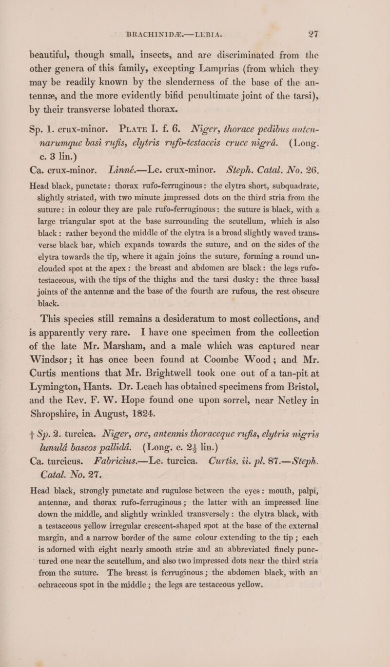 BRACHINIDA.—LEBIA. 24 beautiful, though small, insects, and are discriminated from the other genera of this family, excepting Lamprias (from which they may be readily known by the slenderness of the base of the an- tenne, and the more evidently bifid penultimate joint of the tarsi), by their transverse lobated thorax. : Sp. 1. crux-minor. Purate I. f.6. Niger, thorace pedibus anten- narumque bast rufis, elytris rufo-testaceis cruce mgré. (Long. e. 3 lin.) Ca. crux-minor. Linné.—Le. crux-minor. Steph. Catal. No. 26. Head black, punctate: thorax rufo-ferruginous: the elytra short, subquadrate, slightly striated, with two minute impressed dots on the third stria from the suture: in colour they are pale rufo-ferruginous: the suture is black, with a large triangular spot at the base surrounding the scutellum, which is also black: rather beyond the middle of the elytra is a broad slightly waved trans- verse black bar, which expands towards the suture, and on the sides of the elytra towards the tip, where it again joins the suture, forming a round un- clouded spot at the apex: the breast and abdomen are black: the legs rufo- testaceous, with the tips of the thighs and the tarsi dusky: the three basal joints of the antenne and the base of the fourth are rufous, the rest obscure black. _ This species still remains a desideratum to most collections, and is apparently very rare. I have one specimen from the collection of the late Mr. Marsham, and a male which was captured near Windsor; it has once been found at Coombe Wood; and Mr. Curtis mentions that Mr. Brightwell took one out of a tan-pit at Lymington, Hants. Dr. Leach has obtained specimens from Bristol, and the Rev. F. W. Hope found one upon sorrel, near agentih in Shropshire, in August, 1824. + Sp. 2. turcica. Niger, ore, antennis thoraceque rujis, elytris nigris lunula baseos pallidéd. (Long. ¢. 22 lin.) Ca. turcicus. Fabricius.—Le. turcica. Curtis, ti. pl. 8't.— Steph. Catal. No. 2'7. Head black, strongly punctate and rugulose between the eyes: mouth, palpi, antenne, and thorax rufo-ferruginous; the latter with an impressed line down the middle, and slightly wrinkled transversely: the elytra black, with a testaceous yellow irregular crescent-shaped spot at the base of the external margin, and a narrow border of the same colour extending to the tip ; each is adorned with eight nearly smooth strie and an abbreviated finely punc- tured one near the scutellum, and also two impressed dots near the third stria from the suture. The breast is ferruginous ; the abdomen black, with an ochraceous spot in the middle ; the legs are testaceous yellow.