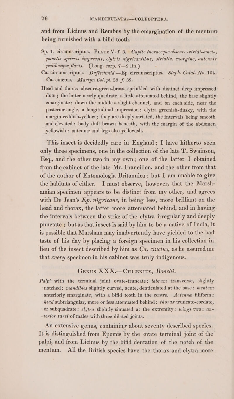 and from Licinus and Rembus by the emargination of the mentum being furnished with a bifid tooth. Sp. 1. circumscriptus. Prater V. f. 3. Capite thoraceque obscuro-viridi-eneis, punctlis sparsis impressis, elytris nigricantibus, striatis, margine, antennis pedibusque flavis. (Long. corp. 7—9 lin.) Ca. circumscriptus. Duftschmid.—Ep. circumscriptus. Steph. Catal. No. 104. Ca. cinctus. Martyn Col. pl. 38. f. 39. Head and thorax obscure-green-brass, sprinkled with distinct deep impressed dots ; the latter nearly quadrate, a little attenuated behind, the base slightly emarginate: down the middle a slight channel, and on each side, near the posterior angle, a longitudinal impression: elytra greenish-dusky, with the margin reddish-yellow ; they are deeply striated, the intervals being smooth and elevated: body dull brown beneath, with the margin of the abdomen yellowish : antenne and legs also yellowish. This insect is decidedly rare in England; I have hitherto seen only three specimens, one in the collection of the late T. Swainson, Ksq., and the other two in my own; one of the latter I obtained from the cabinet of the late Mr. Francillon, and the other from that of the author of Entomologia Britannica; but I am unable to give the habitats of either. I must observe, however, that the Marsh- amian specimen appears to be distinct from my other, and agrees with De Jean’s Ep. nigricans, in being less, more brilliant on the head and thorax, the latter more attenuated behind, and in having the intervals between the strie of the elytra irregularly and deeply punctate ; but as that insect is said by him to be a native of India, it is possible that Marsham may inadvertently have yielded to the bad taste of his day by placing a foreign specimen in his collection in lieu of the insect described by him as Ca. cinctws, as he assured me that every specimen in his cabinet was truly indigenous. Genus XX X.—CuLanivs, Bonelli. Palpt with the terminal joint ovate-truncate: labrum transverse, slightly notched: mandibles slightly curved, acute, denticulated at the base: mentum anteriorly emarginate, with a bifid tooth in the centre. Antenne filiform: head subtriangular, more or less attenuated behind: thorax truncate-cordate, or subquadrate: elytra slightly sinuated at the extremity: wings two: an- -tertor tarsi of males with three dilated joints. An extensive genus, containing about seventy described species. It is distinguished from Epomis by the ovate terminal joint of the palpi, and from Licinus by the bifid dentation of the notch of the mentum. All the British species have the thorax and elytra more