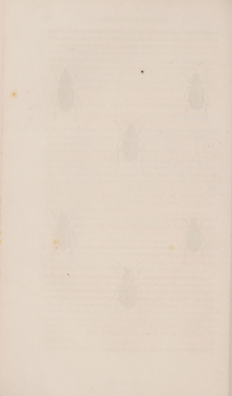 ve 2 &gt; | Cha dls — - | . ‘ avule ee eet: «| J eee eee P&lt;. : 7 7 * 7. i bl | | ' { 4 . ~ , . . = ’ = ~- at 2 P= ; aris’ “oll Ah 1 . ; ‘ie ; ; 7 eis ©) Y ; ae ee a Pe ; ie. “pn, s Des 4 aT ze pies aie wea eae : as = bh ye F : an rn a Bid. Chae s “~e ear.