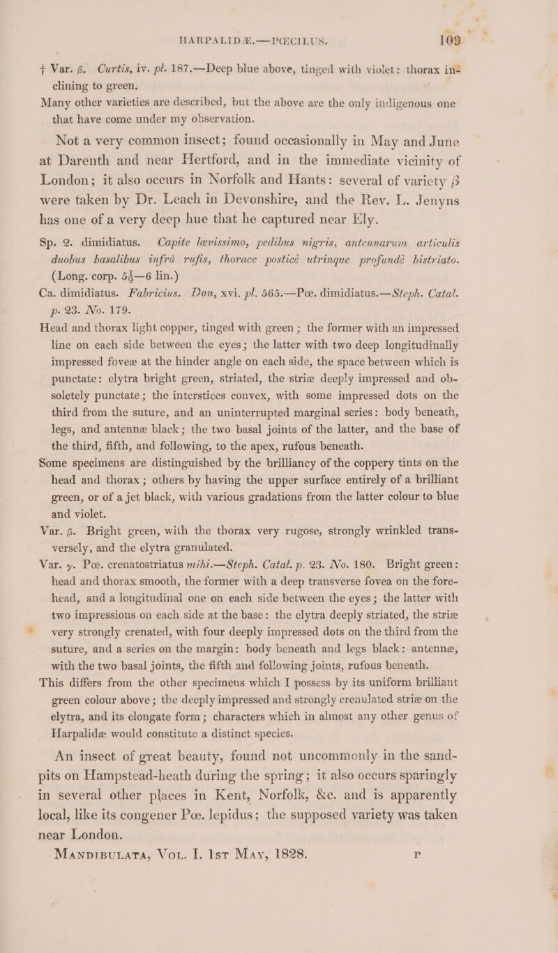 HARPALIDE.—PCCILUS. 109: ; Var. 6. Curtis, iv. pl. 187.—Deep blue above, tinged with violet: thorax in® clining to green. Bet Many other varieties are described, but the above are the only indigenous one that have come under my observation. Not a very common insect; found occasionally in May and June at Darenth and near Hertford, and in the immediate vicinity of London; it also eceurs in Norfolk and Hants: several of variety ) were taken by Dr. Leach in Devonshire, and the Rev. L. Jenyns has one of a very deep hue that he captured near Ely. Sp. 2. dimidiatus. Capite levissimo, pedihus nigris, antennarum articulis duobus basalibus infra rufis, thorace posticé utrinque profundé bistriato. (Long. corp. 54—6 lin.) Ca. dimidiatus. Fabricius. Don, xvi, pl. 565.—Pee. dimidiatus.—Steph. Catal. p. 23. No. 179. | Head and thorax light copper, tinged with green ; the former with an impressed line on each side between the eyes; the latter with two deep longitudinally impressed fovee at the hinder angle on each side, the space between which is punctate: elytra bright green, striated, the strie deeply impressed and ob- soletely punctate; the interstices convex, with some impressed dots on the third from the suture, and an uninterrupted marginal series: body beneath, legs, and antenne black; the two basal joints of the latter, and the base of the third, fifth, and following, to the apex, rufous beneath. Some specimens are distinguished by the brilliancy of the coppery tints on the head and thorax; others by having the upper surface entirely of a brilliant green, or of a jet black, with various gradations from the latter colour to blue and violet. ) Var. 8. Bright green, with the thorax very rugose, strongly wrinkled trans- versely, and the elytra granulated. Var. y. Poe. crenatostriatus mihi.—Steph. Catal. p. 23. No. 180. Bright green: head and thorax smooth, the former with a deep transverse fovea on the fore- head, and a longitudinal one on each side between the eyes; the latter with two impressions on each side at the base: the elytra deeply striated, the strie very strongly crenated, with four deeply impressed dots on the third from the suture, and a series on the margin: body beneath and legs black: antenne, with the two basal joints, the fifth and following joints, rufous beneath. This differs from the other specimens which I possess by its uniform brilliant green colour above; the deeply impressed and strongly crenulated strie on the elytra, and its elongate form ; characters which in almost any other genus of Harpalide would constitute a distinct species. An insect of great beauty, found not uncommonly in the sand- pits on Hampstead-heath during the spring; it also occurs sparingly in several other places in Kent, Norfolk, &amp;c. and is apparently local, like its congener Poe. lepidus; the supposed variety was taken near London. Manpisuuata, Vou. I. lst May, 1828. P