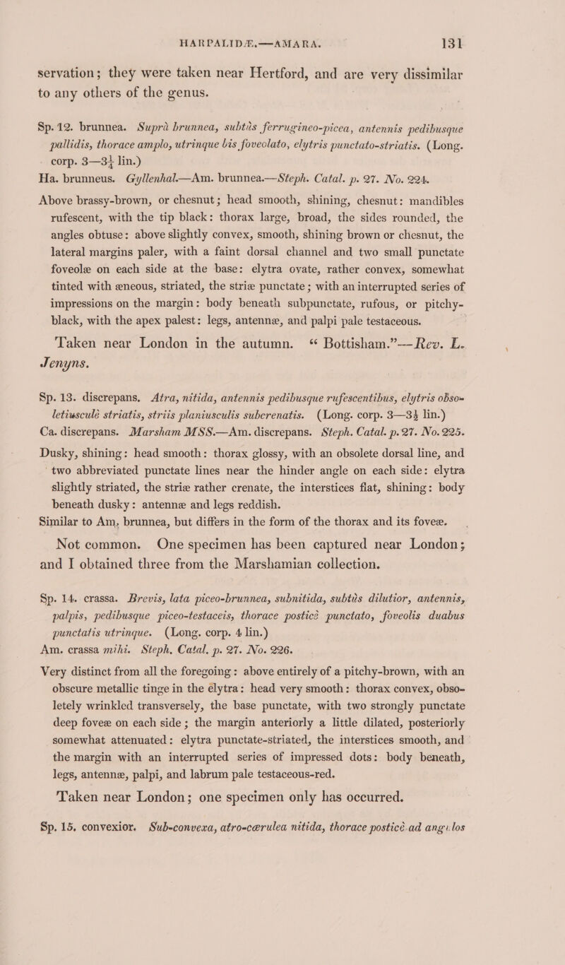 servation; they were taken near Hertford, and are very dissimilar to any others of the genus. . Sp. 12. brunnea. Supra brunnea, subtuis ferrugineo-picea, antennis pedibusque pallidis, thorace amplo, utrinque bis foveolato, elytris punctato-striatis. (Long. corp. 3—31 lin.) Ha. brunneus. Gyllenhal—Am. brunnea.—Steph. Catal. p. 27. No. 224. Above brassy-brown, or chesnut; head smooth, shining, chesnut: mandibles rufescent, with the tip black: thorax large, broad, the sides rounded, the angles obtuse: above slightly convex, smooth, shining brown or chesnut, the lateral margins paler, with a faint dorsal channel and two small punctate foveole on each side at the base: elytra ovate, rather convex, somewhat tinted with eneous, striated, the strie punctate ; with an interrupted series of impressions on the margin: body beneath subpunctate, rufous, or pitchy- black, with the apex palest: legs, antenne, and palpi pale testaceous. : Taken near London in the autumn. * Bottisham.”~—-Rev. LE. Jenyns. Sp. 13. discrepans. Altra, nitida, antennis pedibusque rufescentibus, elytris oBso= letiusculé striatis, strits planiusculis subcrenatis. (Long. corp. 3—3% lin.) Ca. discrepans. Marsham MSS.—Am. discrepans. Steph. Catal. p. 27. No. 225. Dusky, shining: head smooth: thorax glossy, with an obsolete dorsal line, and ‘two abbreviated punctate lines near the hinder angle on each side: elytra slightly striated, the striz rather crenate, the interstices flat, shining: body beneath dusky: antenne and legs reddish. Similar to Am. brunnea, but differs in the form of the thorax and its fovee. Not common. One specimen has been captured near London; and I obtained three from the Marshamian collection. Sp. 14. crassa. Brevis, lata piceo-brunnea, subnitida, subtis dilutior, antennis, palpis, pedibusque piceo-testaceis, thorace postice punctato, foveolis duabus punctatis utringue. (Long. corp. 4 lin.) Am. crassa mihi. Steph, Catal. p. 27. No. 226. Very distinct from all the foregoing: above entirely of a pitchy-brown, with an obscure metallic tinge in the elytra: head very smooth: thorax convex, obso- letely wrinkled transversely, the base punctate, with two strongly punctate deep fovez on each side ; the margin anteriorly a little dilated, posteriorly somewhat attenuated: elytra punctate-striated, the interstices smooth, and’ the margin with an interrupted series of impressed dots: body beneath, legs, antenne, palpi, and labrum pale testaceous-red. Taken near London; one specimen only has occurred. Sp. 15. convexior. Sub-convexa, atro-cerulea nitida, thorace posticé.ad angilos