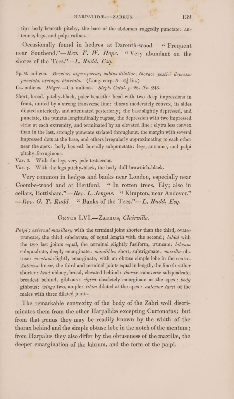 » al ~ ‘ : HARPALIDEH.—ZABRUS. a. 139 tip: body beneath pitchy, the base of the abdomen ruggedly punctate: an- tenne, legs, and palpi rufous. Occasionally found in hedges at Darenth-wood. “ Frequent near Southend.”—Rev. fF. W. Hope. “Very abundant on the shores of the Tees.” —L. Rudd, Esq. Sp. 2. aulicus. Brevior, nigro-piceus, subtus dilutior, thorace postice depresso punctato, utrinque bistriato. (Long. corp. 5—64 lin.) Ca. aulicus. Illiger.—Cu. aulicus. Steph. Catal. p. 28. No. 245. Short, broad, pitchy-black, paler beneath: head with two deep impressions in front, united by a strong transverse line: thorax moderately convex, its sides dilated anteriorly, and attenuated posteriorly; the base slightly depressed, and punctate, the puncte longitudinally rugose, the depression with two impressed _ Strie at each extremity, and terminated by an elevated line: elytra less convex than in the last, strongly punctate striated throughout, the margin with several impressed. dots at the base, and others irregularly approximating to each other near the apex: body beneath laterally subpunctate: legs, antenne, and palpi pitchy-ferruginous. Var. 6. With the legs very pale testaceous. Var. y. With the legs pitchy-black, the body dull brownish-black. Very common in hedges and banks near London, especially near Coombe-wood and at Hertford. “In rotten trees, Ely; also in cellars, Bottisham.”—Rev. L. Jenyns. ‘“¢ Kimpton, near Andover.” —Rev. G. T. Rudd. “ Banks of the Tees.”—L. Rudd, Esq. Genus LVI.—Zasrus, Clatrville. Palpi ; external mavillary with the terminal joint shorter than the third, ovate- truncate, the third subclavate, of equal length with the second; labial with the two last joints equal, the terminal slightly fusiform, truncate: labrum subquadrate, deeply emarginate: mandibles short, subtrigonate: mazille ob- tuse: mentum slightly emarginate, with an obtuse simple lobe in the centre. Antenna linear, the third and terminal joints equal in length, the fourth rather shorter: head oblong, broad, elevated behind: thorax transverse subquadrate, broadest behind, gibbous: elytra obsoletely emarginate at the apex: body gibbous: wings two, ample: ¢ibie dilated at the apex: anterior tarsi of the males with three dilated joints. The remarkable convexity of the body of the Zabri well discri- minates them from the other Harpalide excepting Curtonotus; but from that genus they may be readily known by the width of the thorax behind and the simple obtuse lobe in the notch of the mentum ; from Harpalus they also differ by the obtuseness of the maxillz, the deeper emargination of the labrum, and the form of the palpi.