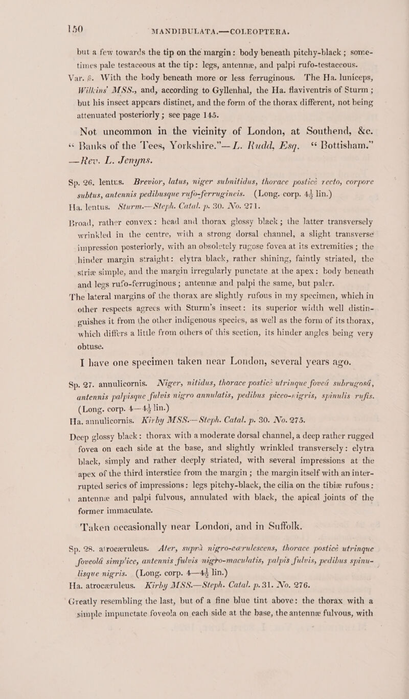 but a few towards the tip on the margin: body beneath pitchy-black ; some- times pale testaceous at the tip: legs, antenne, and palpi rufo-testaceous. Var. 6. With the body beneath more or less ferruginous. The Ha. luniceps, Wilkins MSS., and, according to Gyllenhal, the Ha. flaviventris of Sturm ; but his insect appears distinct, and the form of the thorax different, not being attenuated posteriorly ; see page 145. Not uncommon in the vicinity of London, at Southend, &amp;e. «¢ Banks of the Tees, Yorkshire.”— Z. Rudd, Esq. ‘ Bottisham.” —Rev. L. Jenyns. Sp. 26. lentus. Brevior, latus, niger subnitidus, thorace postice recto, corpore subtus, antennis pedibusque rufo-ferrugineis. (Long. corp. 44 lin.) Ha. lentus. Sturm.—Steph. Catal. p. 30. No. 271. Broad, rather convex: head and thorax glossy black; the latter transversely wrinkled in the centre, with a strong dorsal channel, a slight transverse impression posteriorly, with an obsoletely rugose fovea at its extremities ; the hinder margin straight: elytra black, rather shining, faintly striated, the siri simple, and the margin irregularly punctate at the apex: body beneath and legs rufo-ferruginous ; antenne and palpi the same, but paler. The lateral margins of the thorax are slightly rufous in my specimen, which in other respects agrees with Sturm’s insect: its superior width well distin- guishes it from the other indigenous species, as we!l as the form of its thorax, which differs a little from others of this section, its hinder angles being very obtuse. I have one specimen taken near London, several years ago. Sp. 27. annulicornis. Niger, nitidus, thorace postice utrinque fovea subrugosi, antennis palpisque fulvis nigro annulatis, pedibus piceo-nigris, spinulis rufis. (Long. corp. 4— 4 lin.) ? Ha. annulicornis. Avrby MSS.— Steph. Catal. p. 30. No. 275. Deep glossy black: thorax with a moderate dorsal channel, a deep rather rugged fovea on each side at the base, and slightly wrinkled transversely: elytra black, simply and rather deeply striated, with several impressions at the apex of the third interstice from the margin ; the margin itself with an inter- rupted series of impressions: legs pitchy-black, the cilia on the tibie rufous: | antenne and palpi fulvous, annulated with black, the apical joints of the former immaculate. ' Taken occasionally near London, and in Suffolk. Sp. 28. afroceruleus. Afer, supra nigro-cayulescens, thorace posticé utrinque foveold simplice, antennis fulvis nigro-maculatis, palpis fulvis, pedibus spinu- lisque nigris. (Long. corp. 4—4¢ lin.) Ha. atroceruleus. Kirhy MSS.—Steph. Catal. p.31. No. 276. Greatly resembling the last, but of a fine blue tint above: the thorax with a simple impunctate foveola on each side at the hase, the antenne fulvous, with