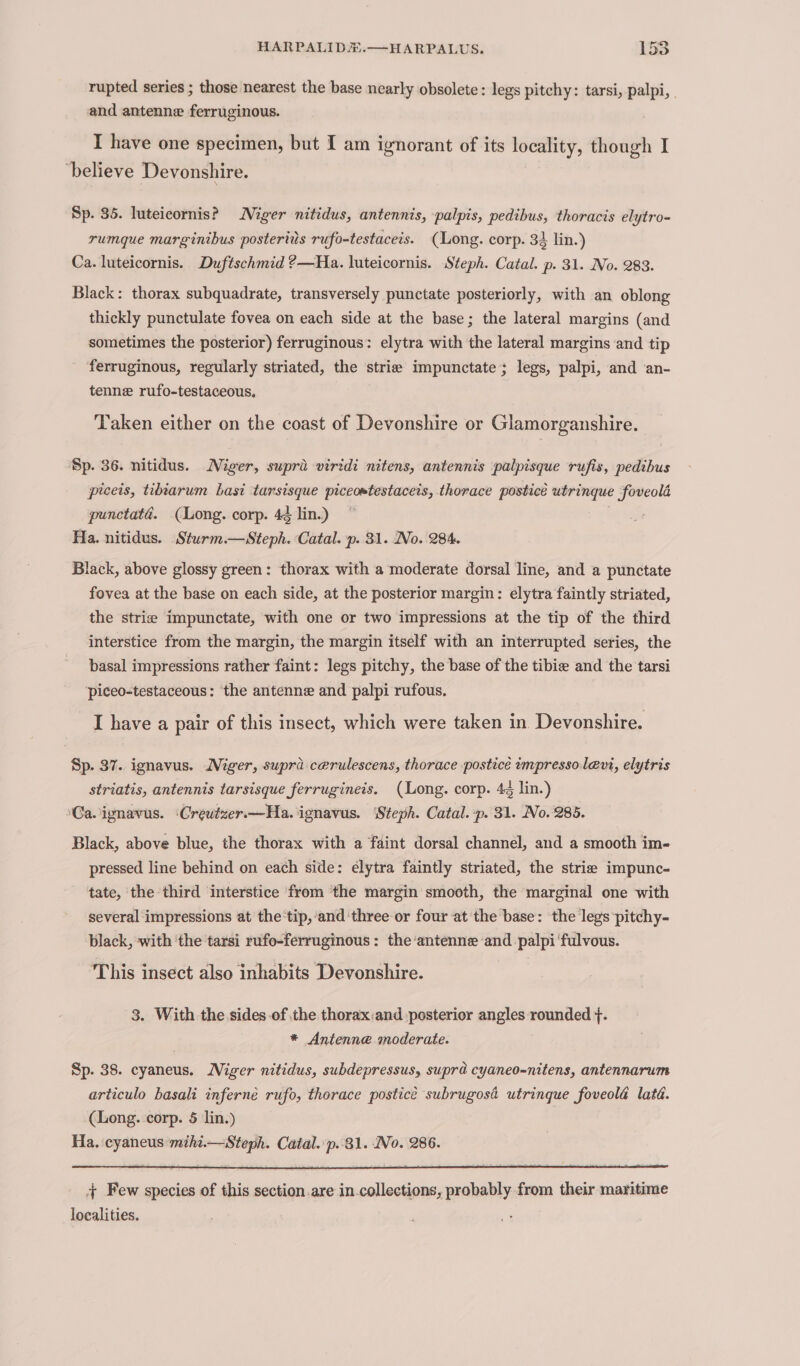 rupted series ; those nearest the base nearly obsolete: legs pitchy: tarsi, palpi, and antenne ferruginous. I have one specimen, but I am ignorant of its locality, though I ‘believe Devonshire. Sp. 35. luteicornis? Niger nitidus, antennis, palpis, pedibus, thoracis elytro- rumque marginibus posteriis rufo-testaceis. (Long. corp. 34 lin.) Ca. luteicornis. Duftschmid ?—Ha. luteicornis. Steph. Catal. p. 31. No. 283. Black: thorax subquadrate, transversely punctate posteriorly, with an oblong thickly punctulate fovea on each side at the base; the lateral margins (and sometimes the posterior) ferruginous: elytra with the lateral margins and tip ferruginous, regularly striated, the strie impunctate; legs, palpi, and an- tenne rufo-testaceous, Taken either on the coast of Devonshire or Glamorganshire. Sp. 36. nitidus. Niger, supra viridi nitens, antennis palpisque rufis, pedibus piceis, tibiarum basi tarsisque piccostestaceis, thorace posticé utrinque foveold punctata. (Long. corp. 44 lin.) j Ha. nitidus. Sturm.—Steph. Catal. p. 31. No. 284. Black, above glossy green: thorax with a moderate dorsal line, and a punctate fovea at the base on each side, at the posterior margin: elytra faintly striated, the strie impunctate, with one or two impressions at the tip of the third interstice from the margin, the margin itself with an interrupted series, the basal impressions rather faint: legs pitchy, the base of the tibie and the tarsi ‘piceo-testaceous: the antenne and palpi rufous. I have a pair of this insect, which were taken in Devonshire. Sp. 37. ignavus. Miger, supra cerulescens, thorace postice impresso levi, elytris striatis, antennis tarsisque ferrugineis. (Long. corp. 4¢ lin.) ‘Ca.ignavus. ‘Creutzer.—Ha. ignavus. ‘Steph. Catal. p. 31. No. 285. Black, above blue, the thorax with a faint dorsal channel, and a smooth im- pressed line behind on each side: elytra faintly striated, the strie impunc- tate, the third interstice from the margin smooth, the marginal one with several impressions at the‘tip,‘and three or four at the base: the legs pitchy- black, with ‘the tarsi rufo-ferruginous: the antenne and palpi ‘fulvous. ‘This insect also inhabits Devonshire. 3. With the sides of the thorax:and posterior angles rounded +. * Antenne moderate. Sp. 38. cyaneus. Niger nitidus, subdepressus, supra cyaneo-nitens, antennarum articulo basali inferné rufo, thorace posticé subrugosd utrinque foveold lata. (Long. corp. 5 lin.) Ha. cyaneus mihi.—Steph. Catal. p..81. No. 286. + Few species of this section.are in.collections, probably from their maritime localities.